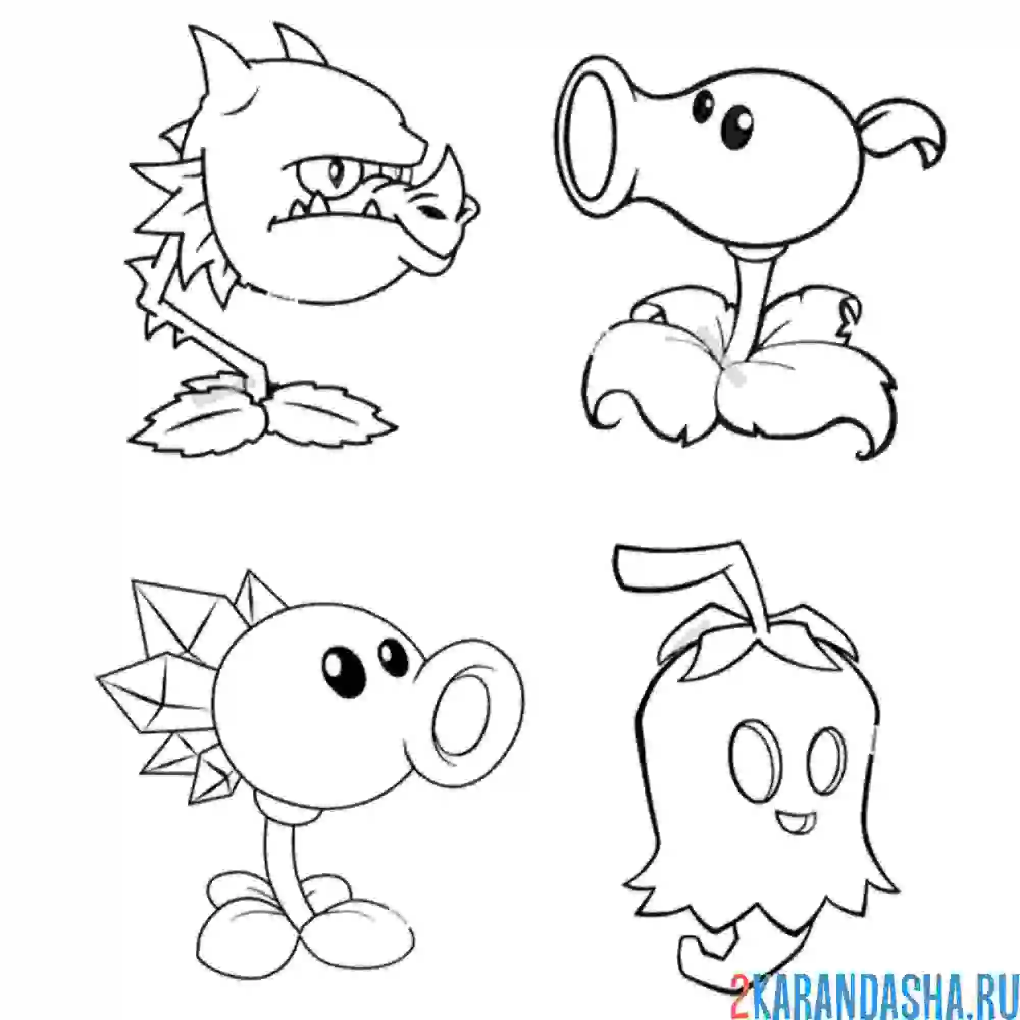 Раскраска разные растения