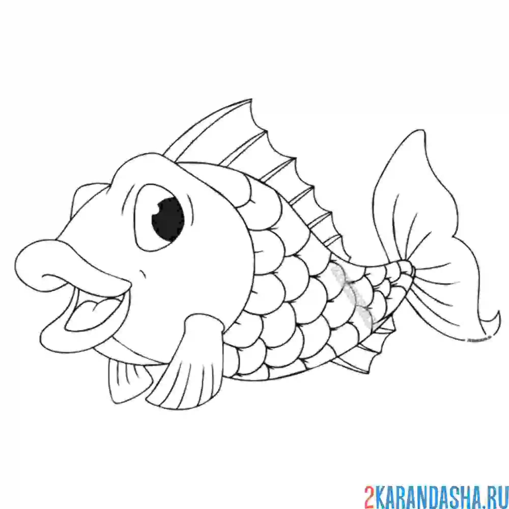 Раскраска окунь рыба