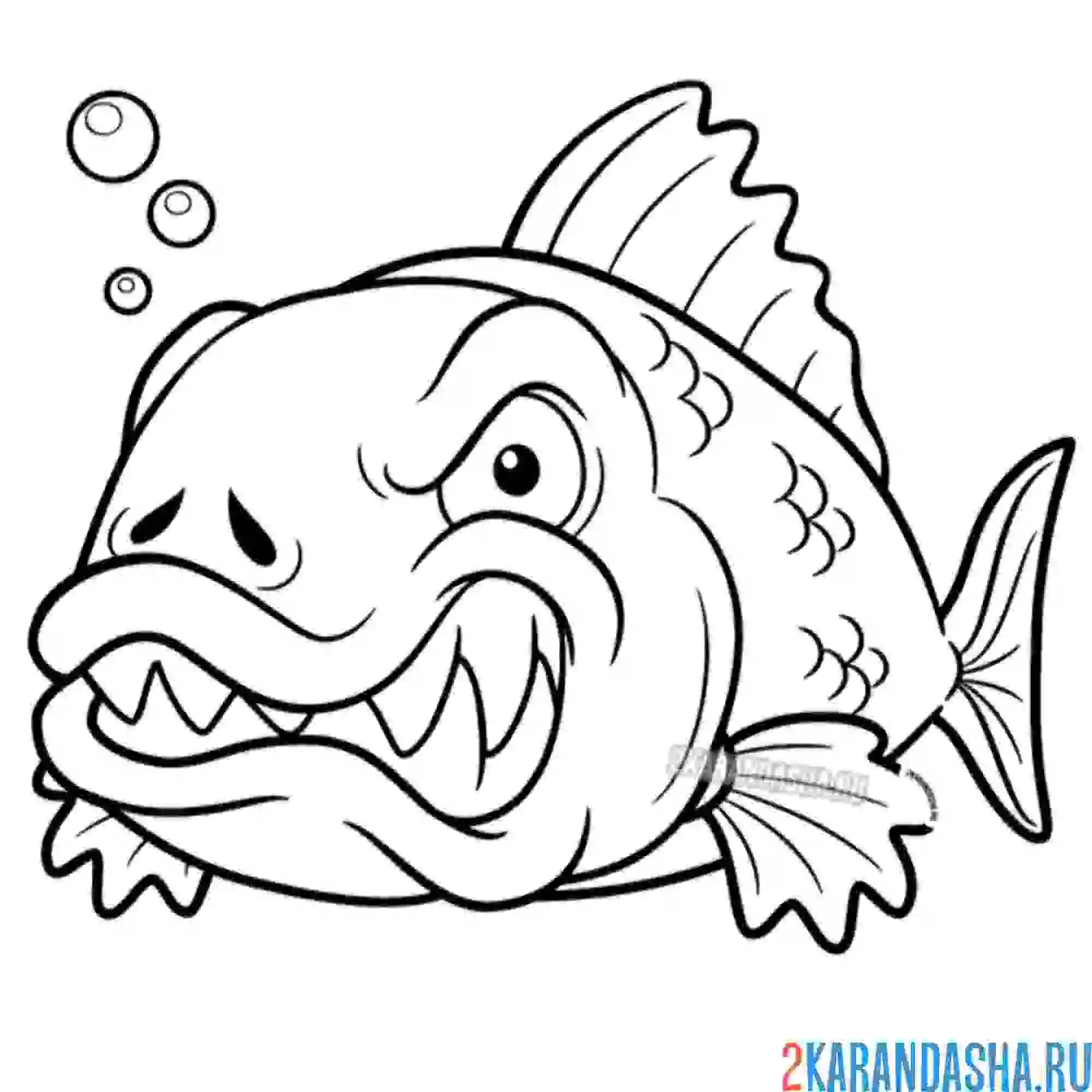 Раскраска злая пиранья рыба