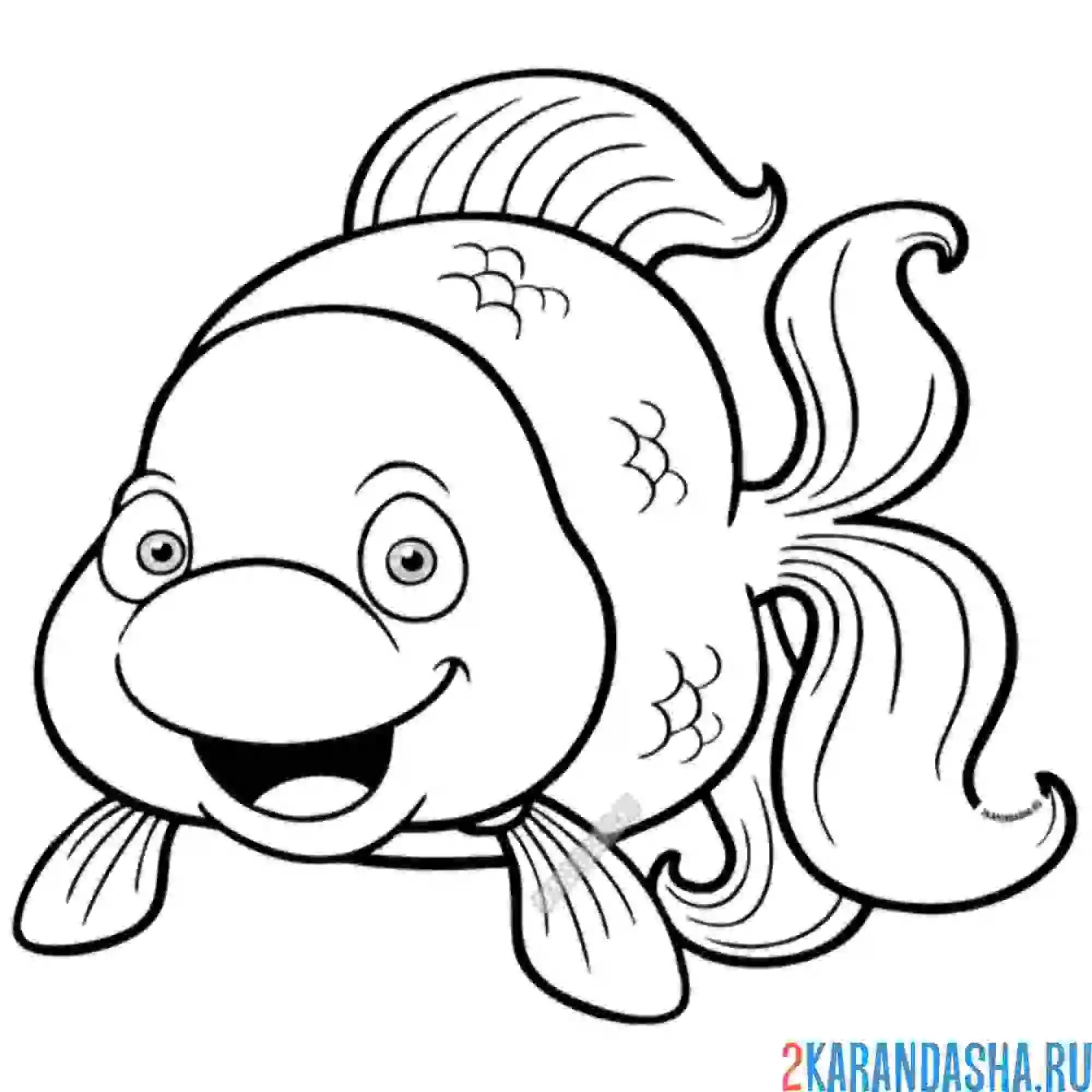 Раскраска золотая рыбка