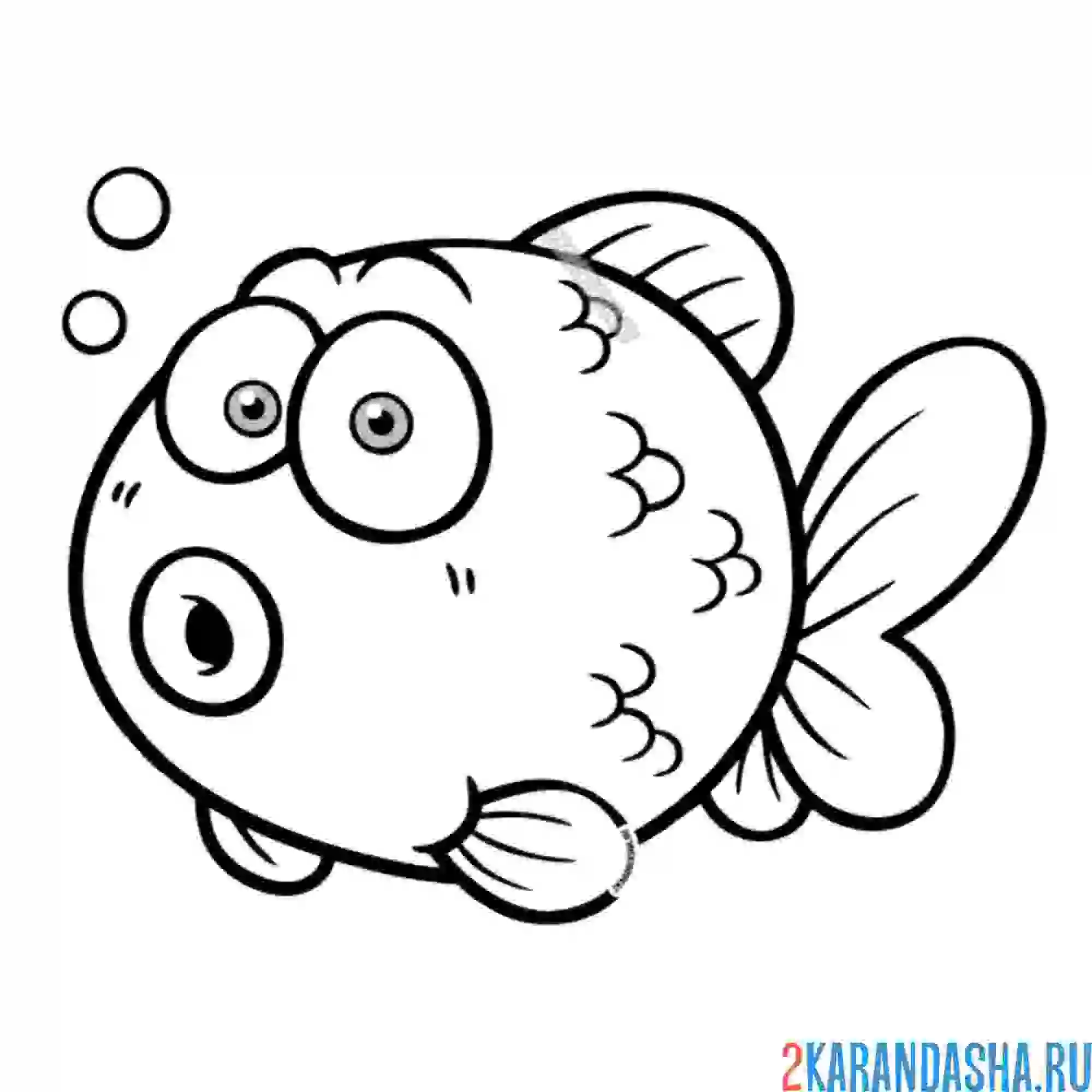 Раскраска аквариумная золотая рыбка