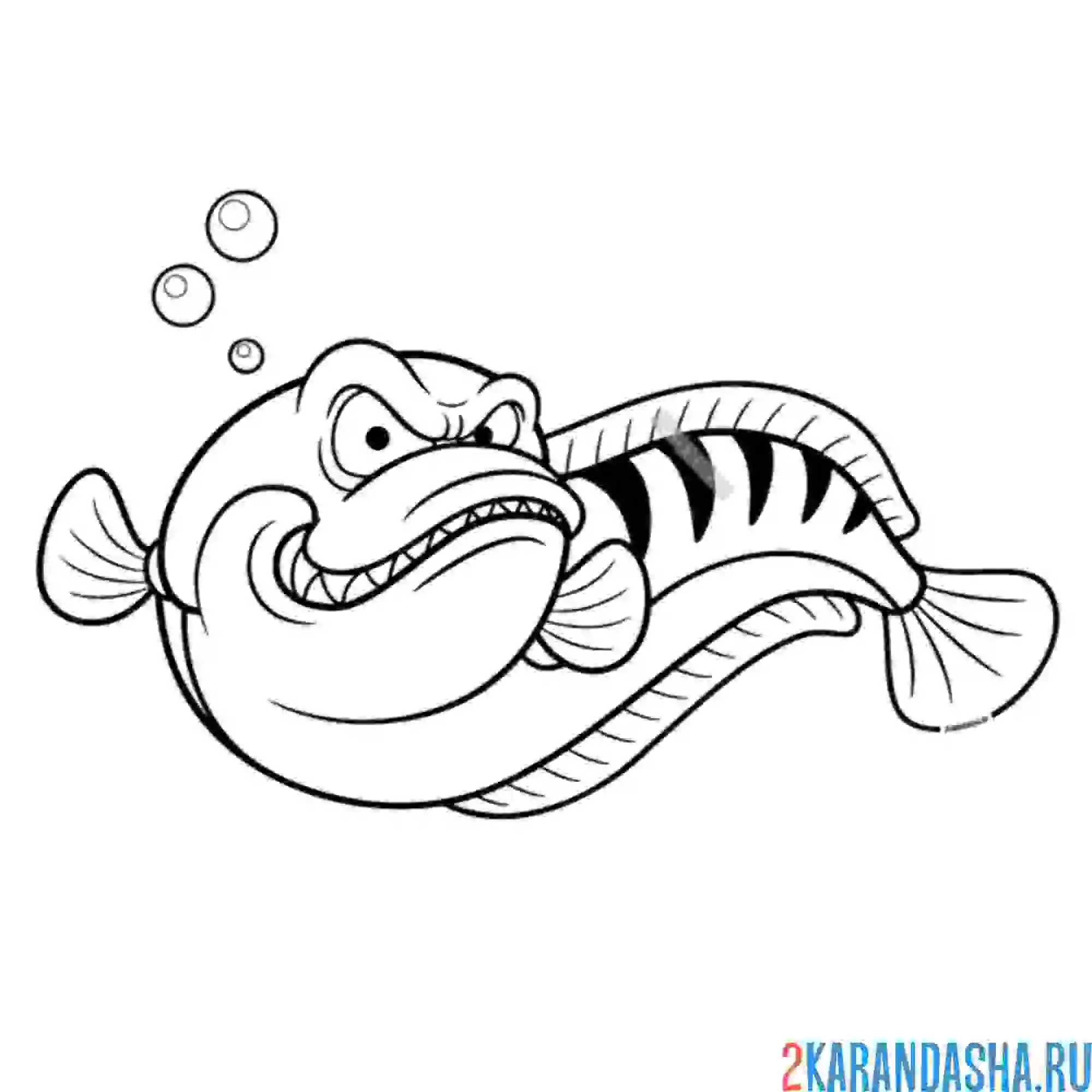 Раскраска змееголов рыба