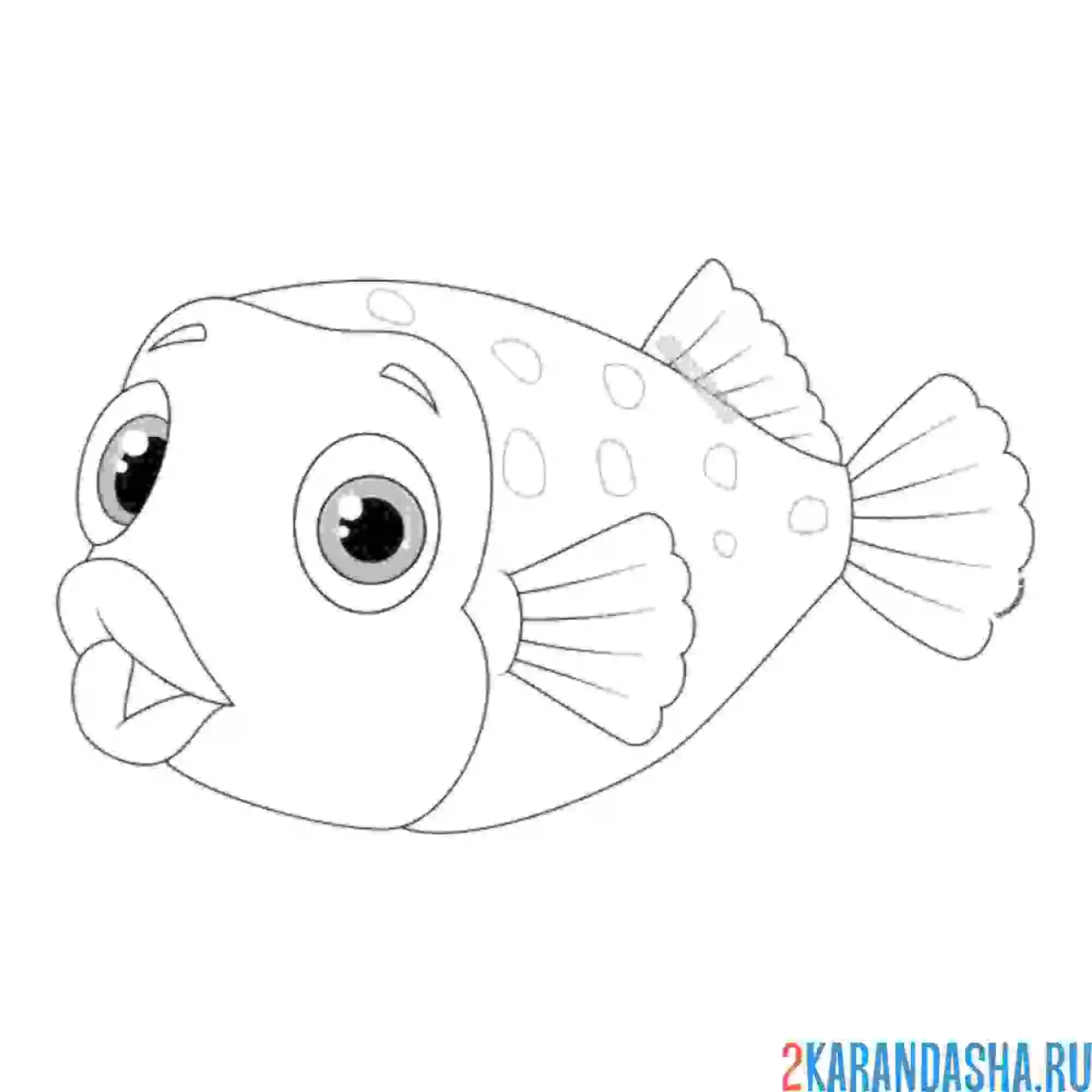 Раскраска фугу опасная рыба