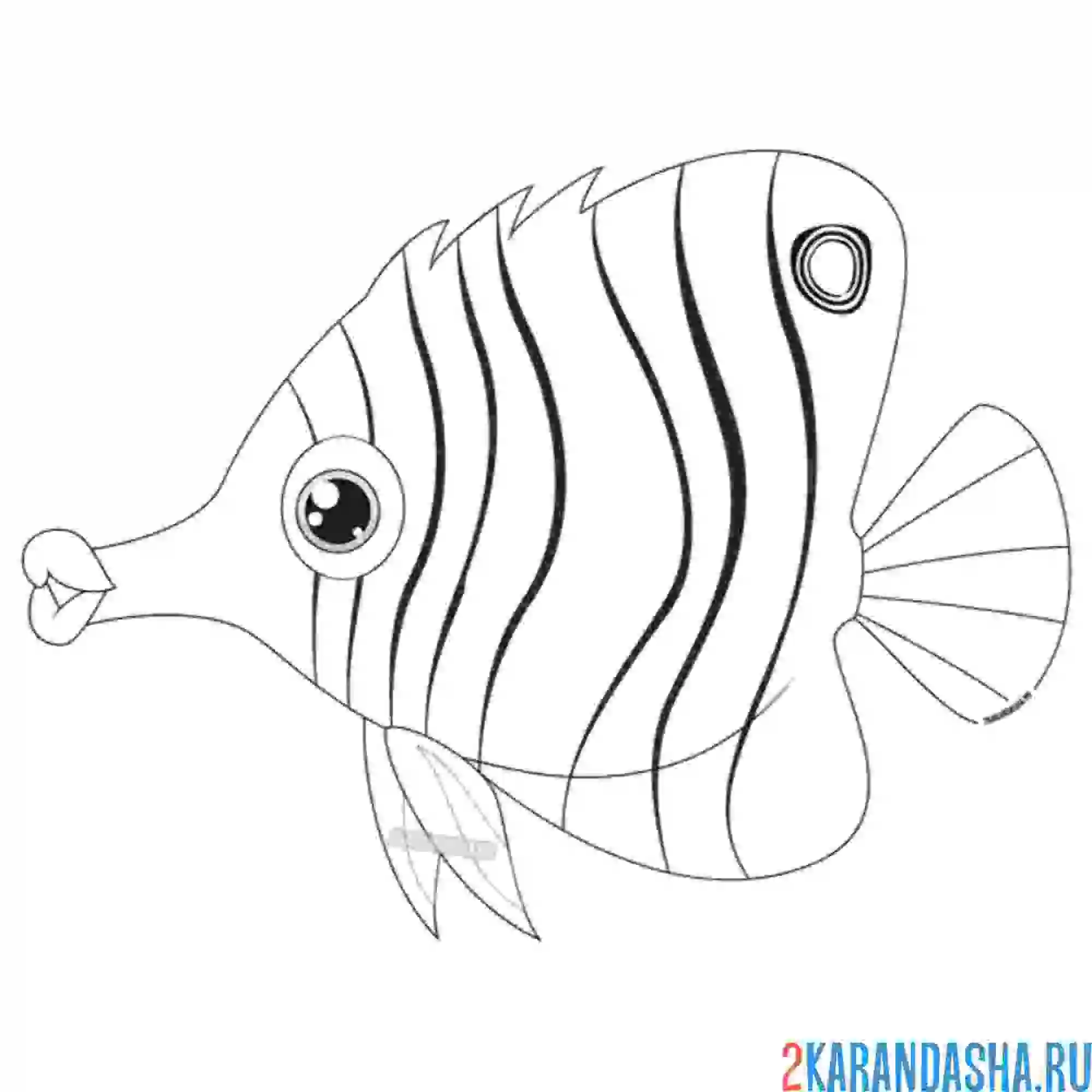Раскраска масковая бабочка рыба
