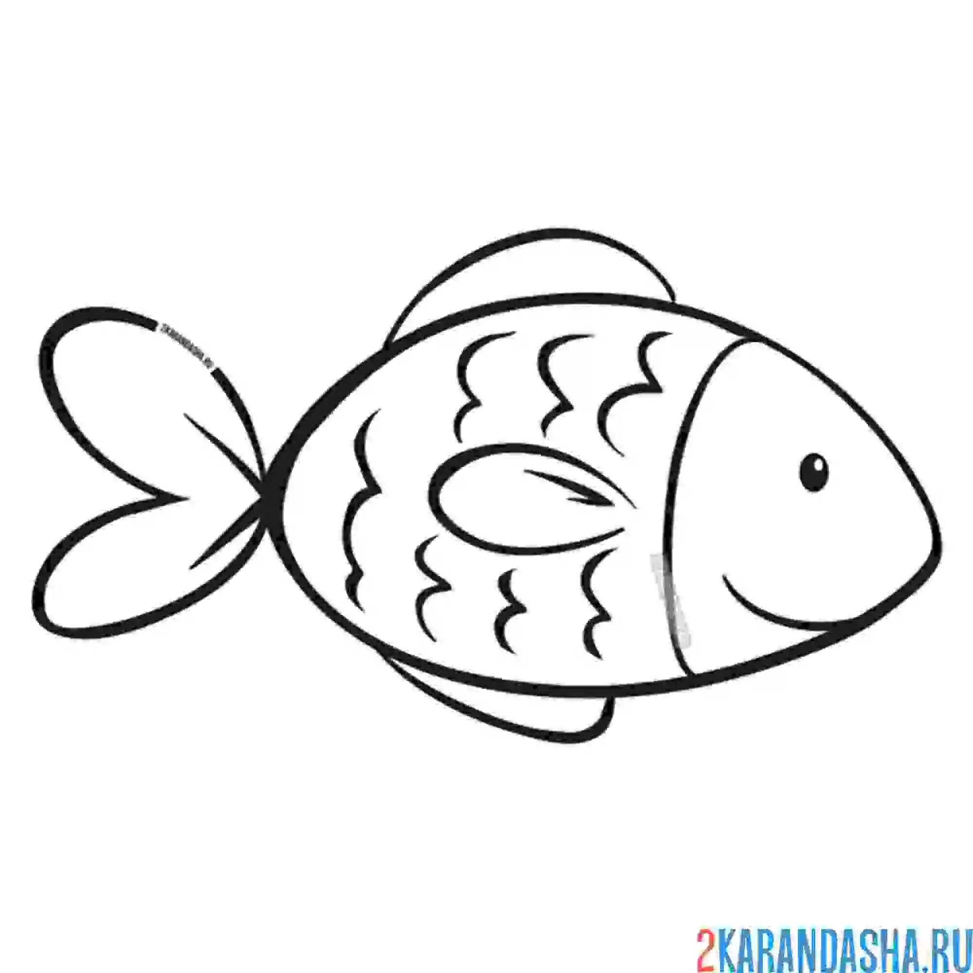 Раскраска простая рыбка