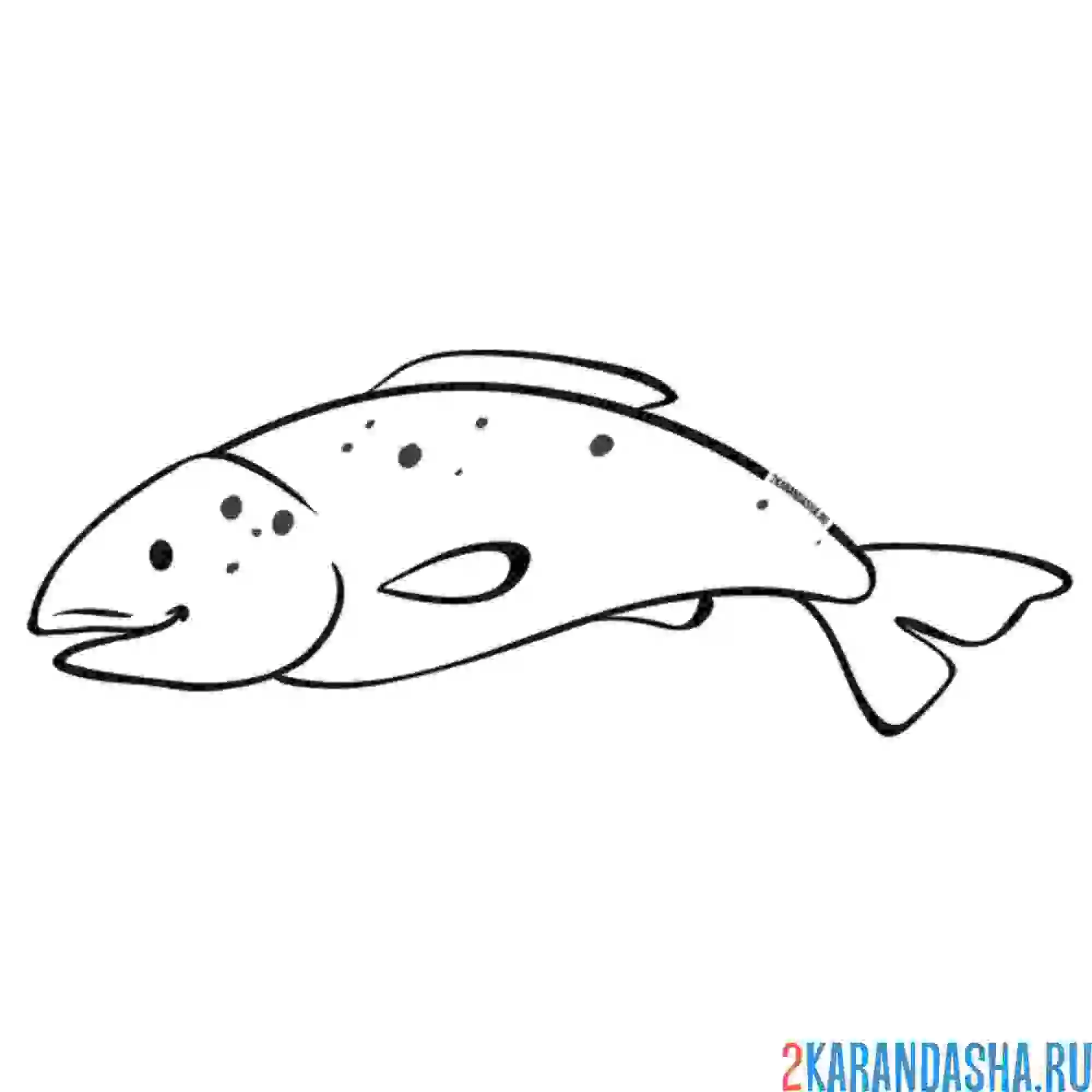 Раскраска карп рыба