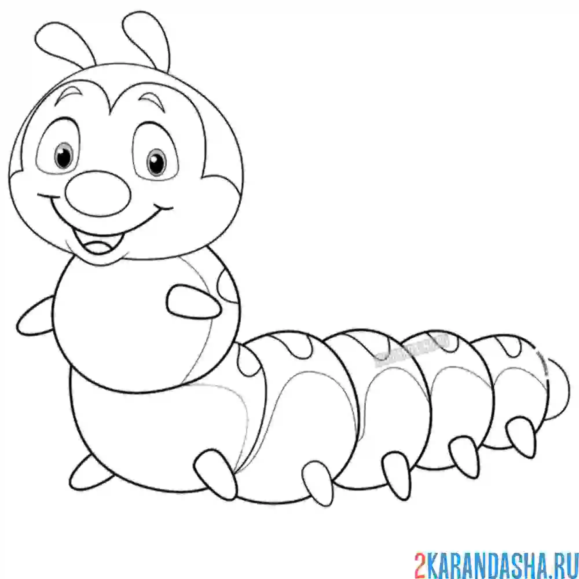 Раскраска с усиками и рисунком на тельце