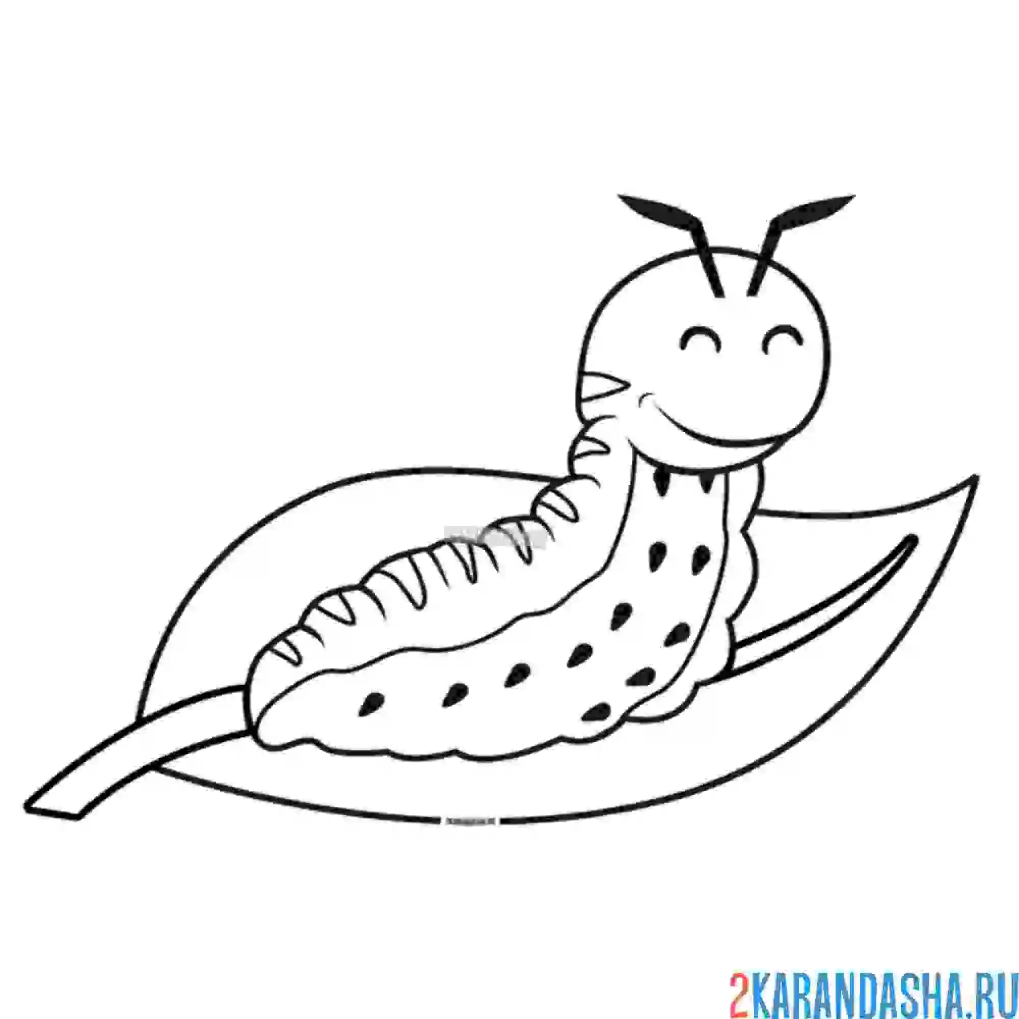 Раскраска гусеница на листочке