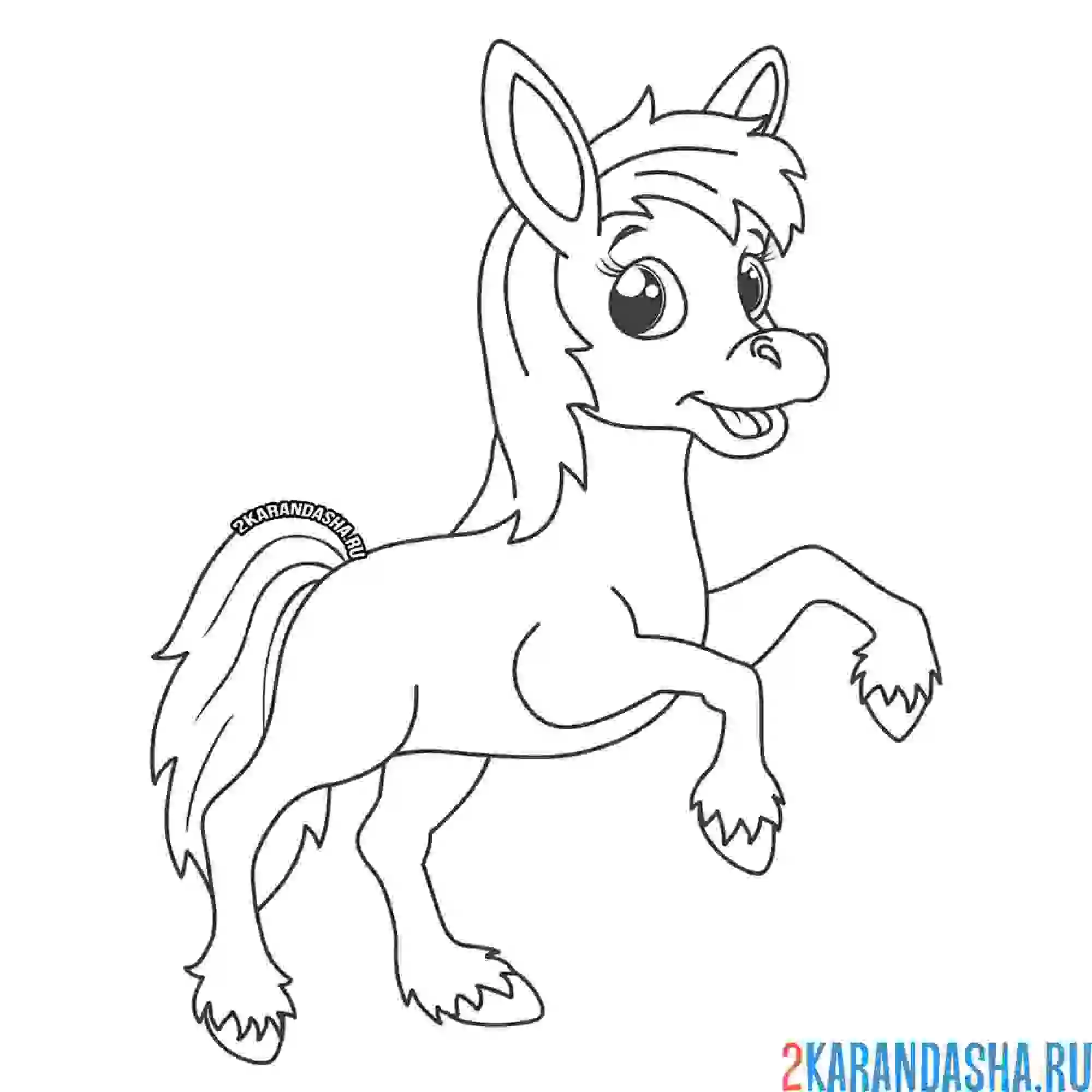 Раскраска красивый жеребенок