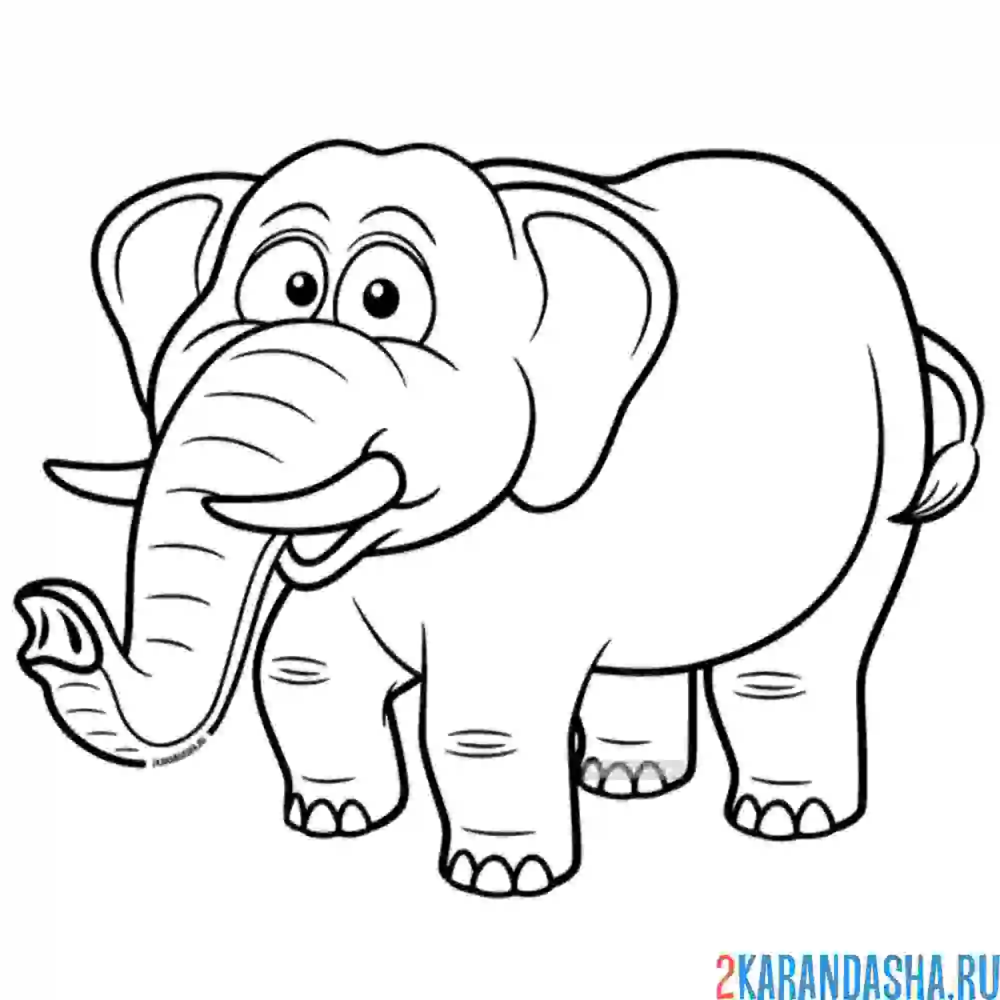 Раскраска слон с добрыми глазами