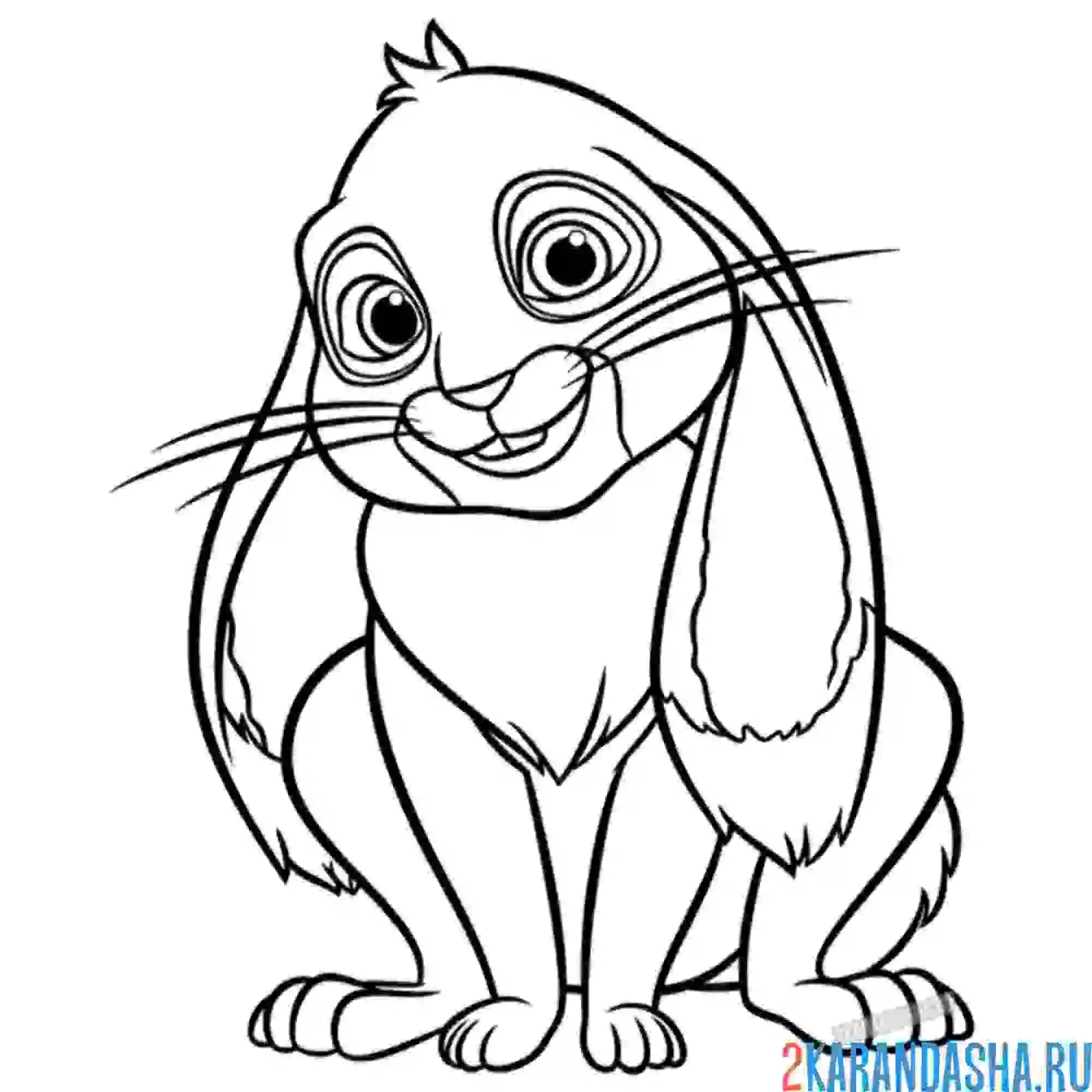 Раскраска кролик клевер