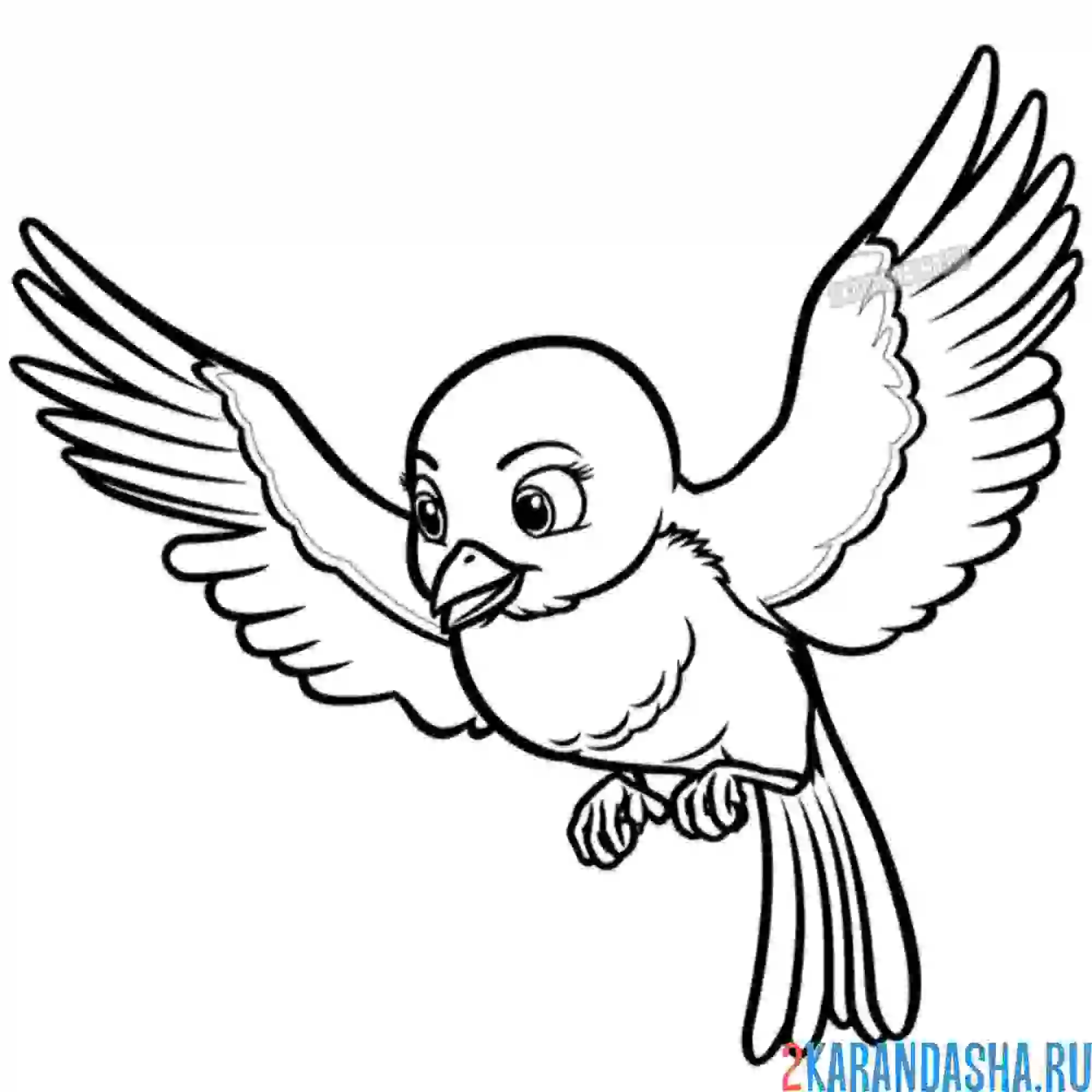 Раскраска птичка миа