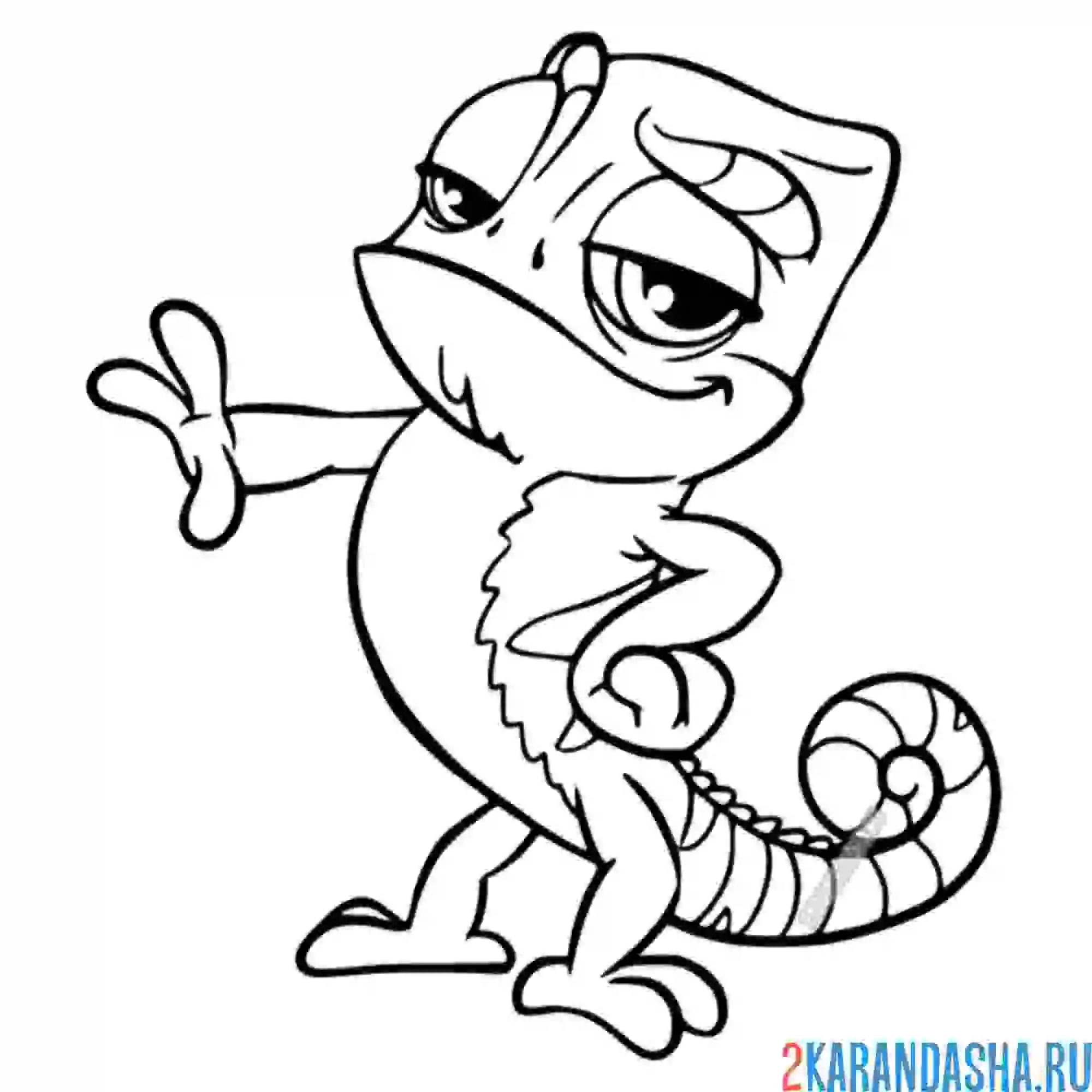 Раскраска деловой хамелеон паскаль