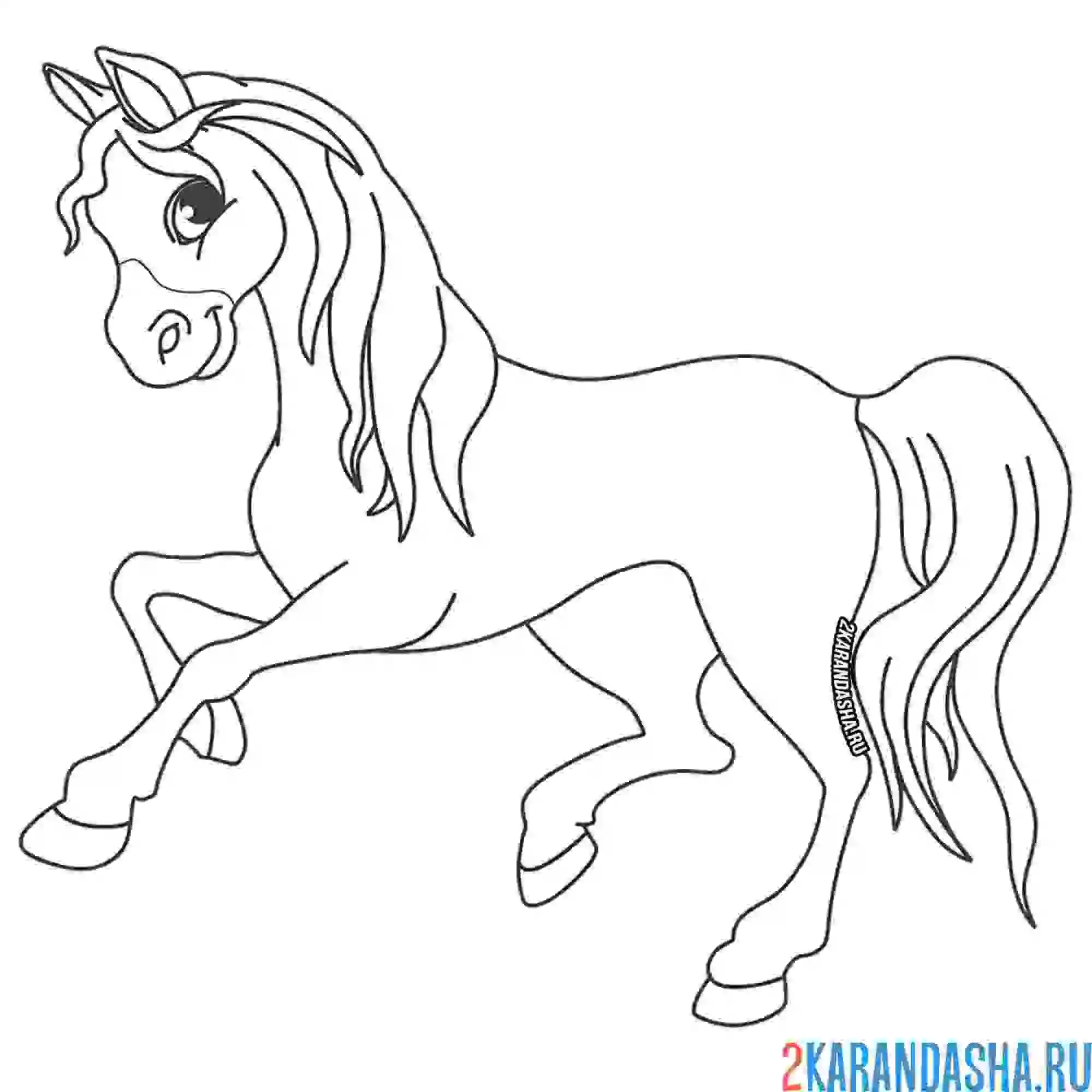 Раскраска грациозная лощадь
