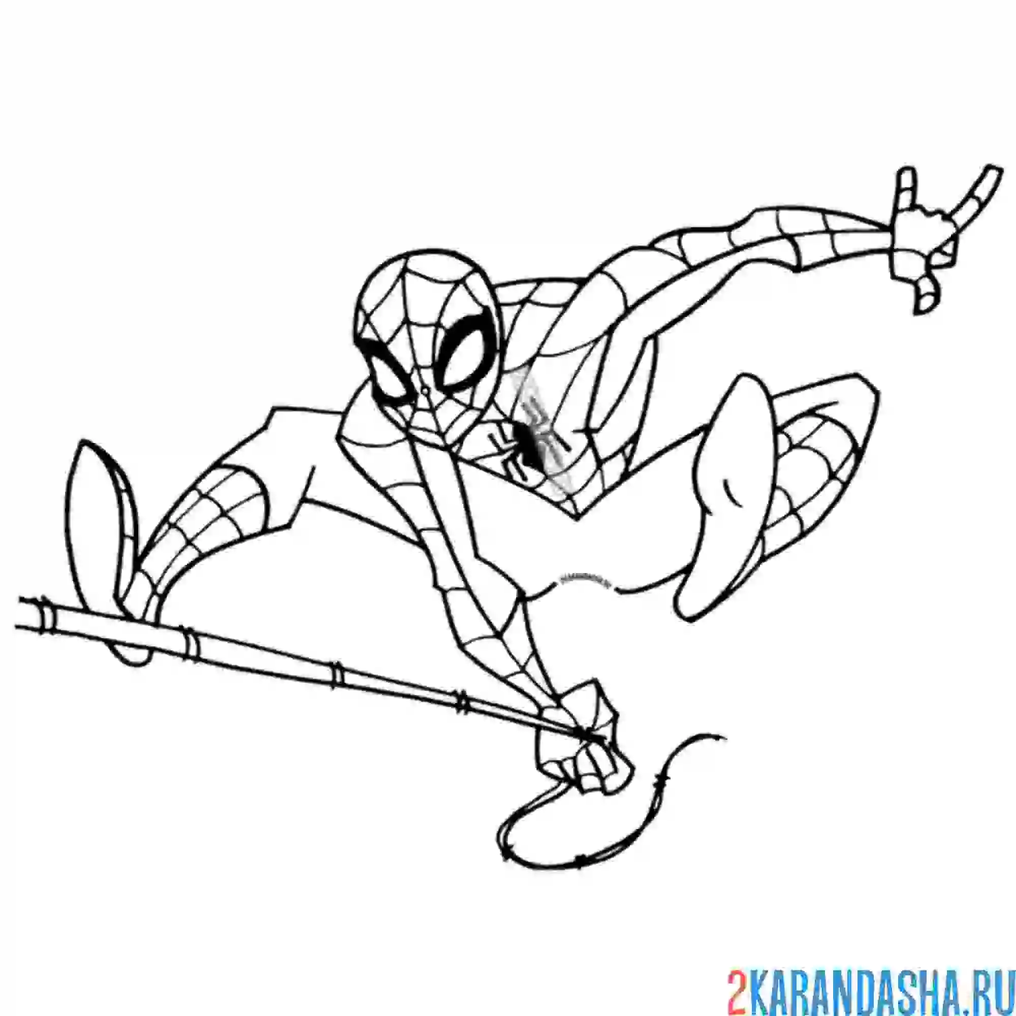 Раскраска с паутиной в прыжке