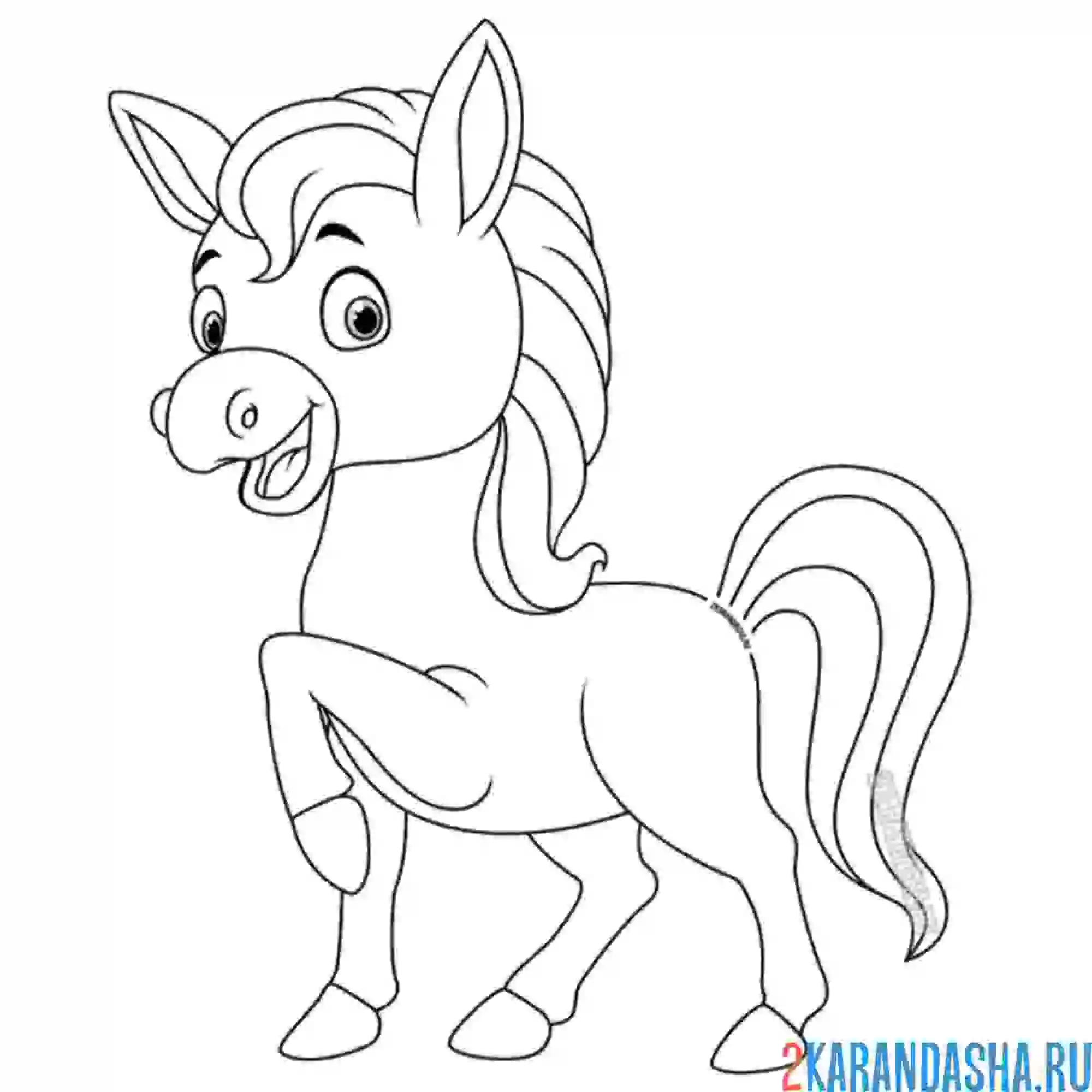 Раскраска маленькая лошадка