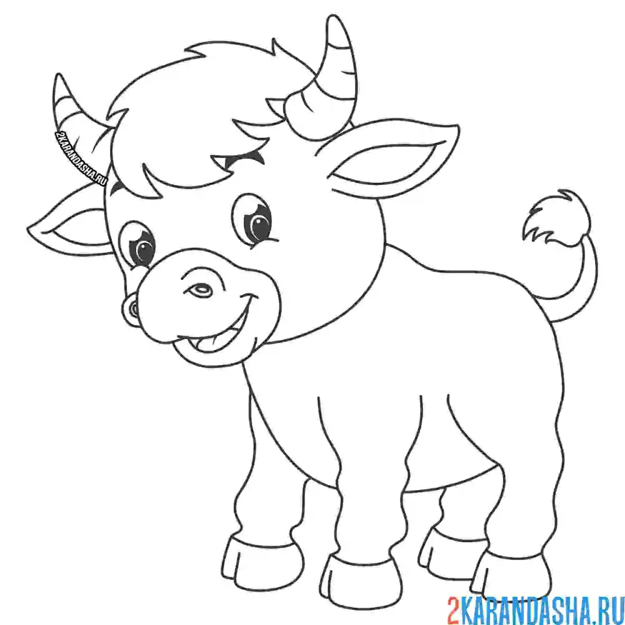 Раскраска теленок стоит