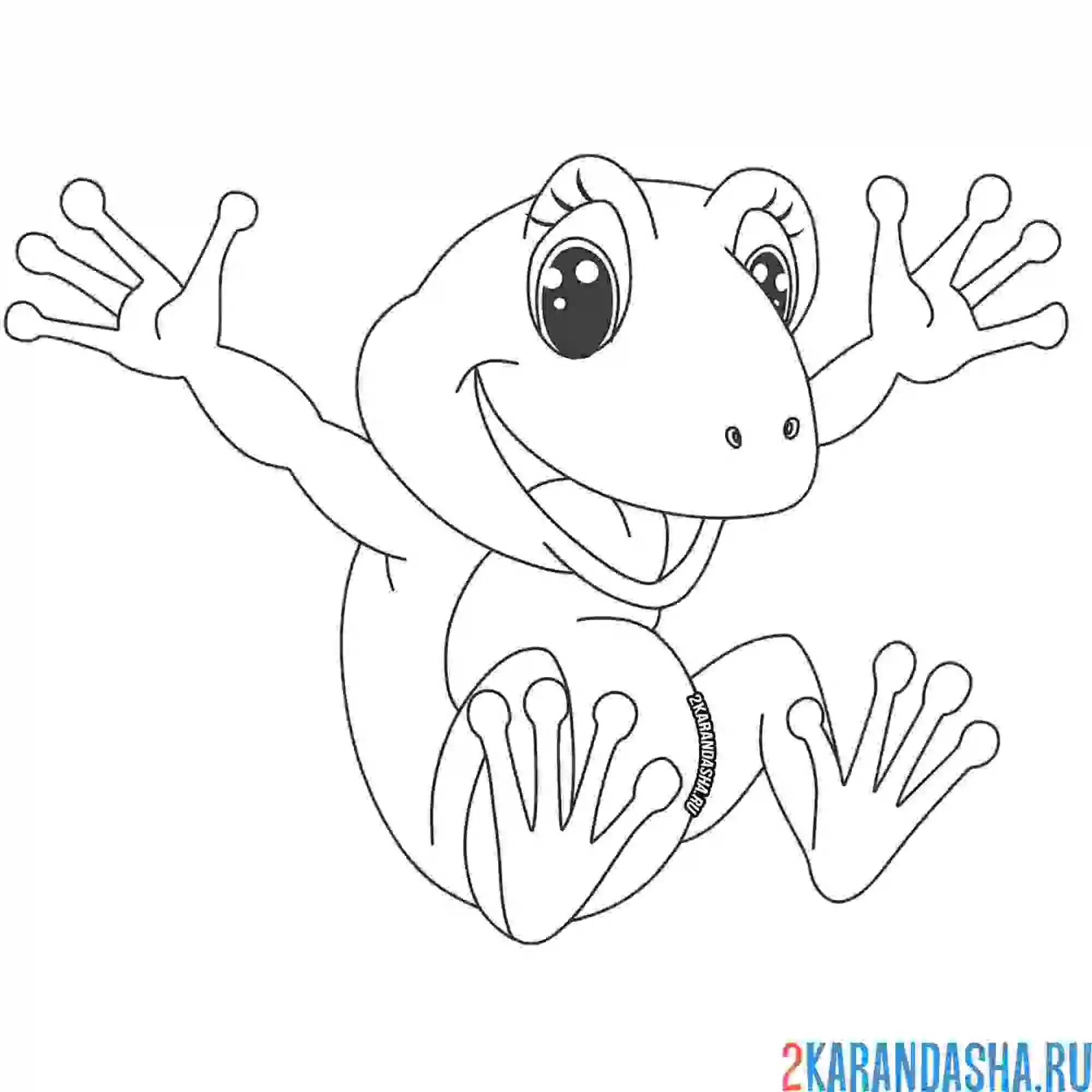 Раскраска лягушонок в прыжке