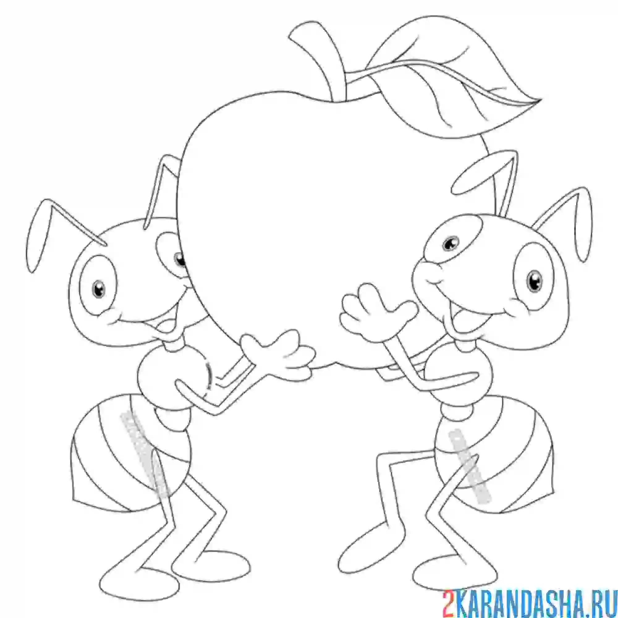 Раскраска два муравья с яблочком