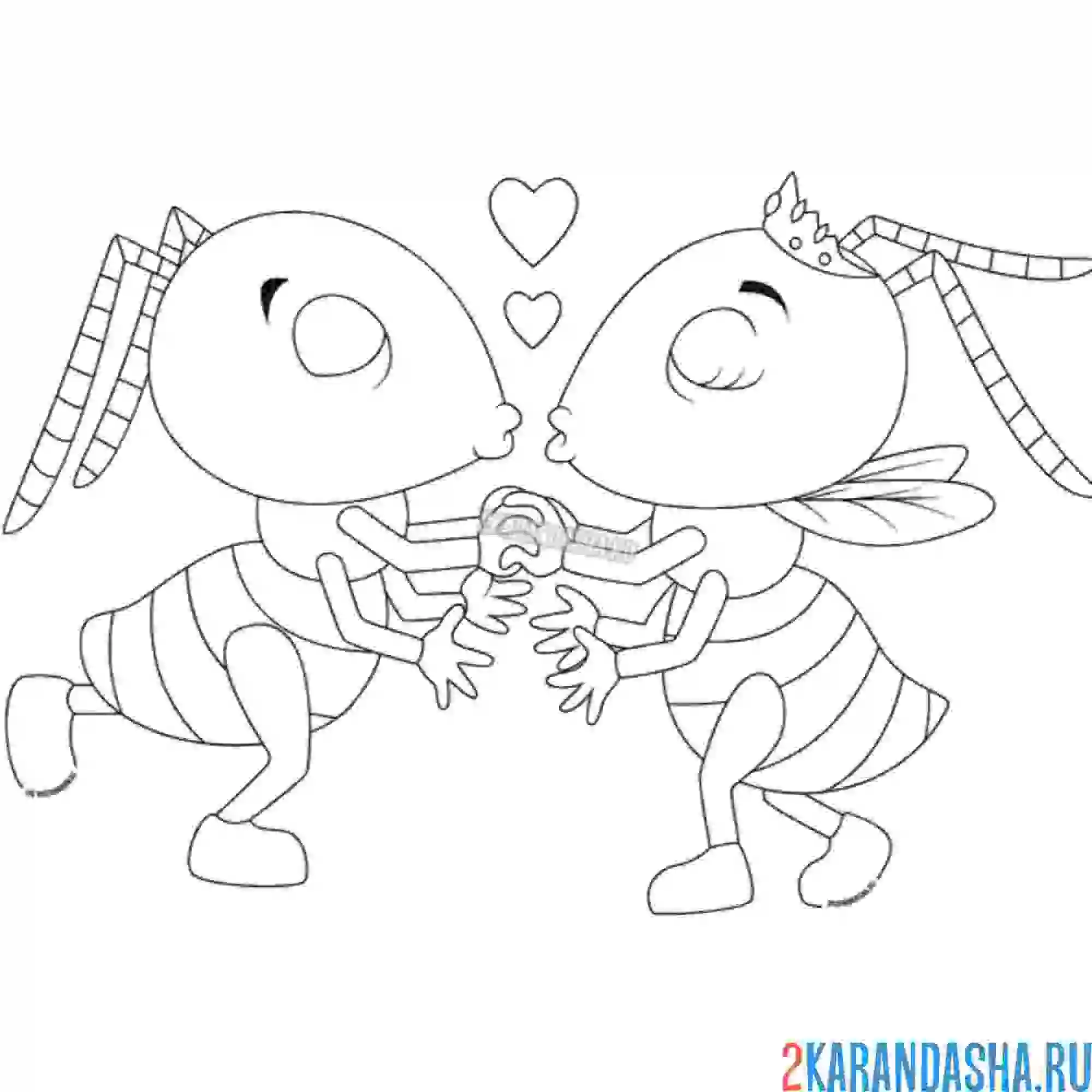 Раскраска влюбленная парочка муравей