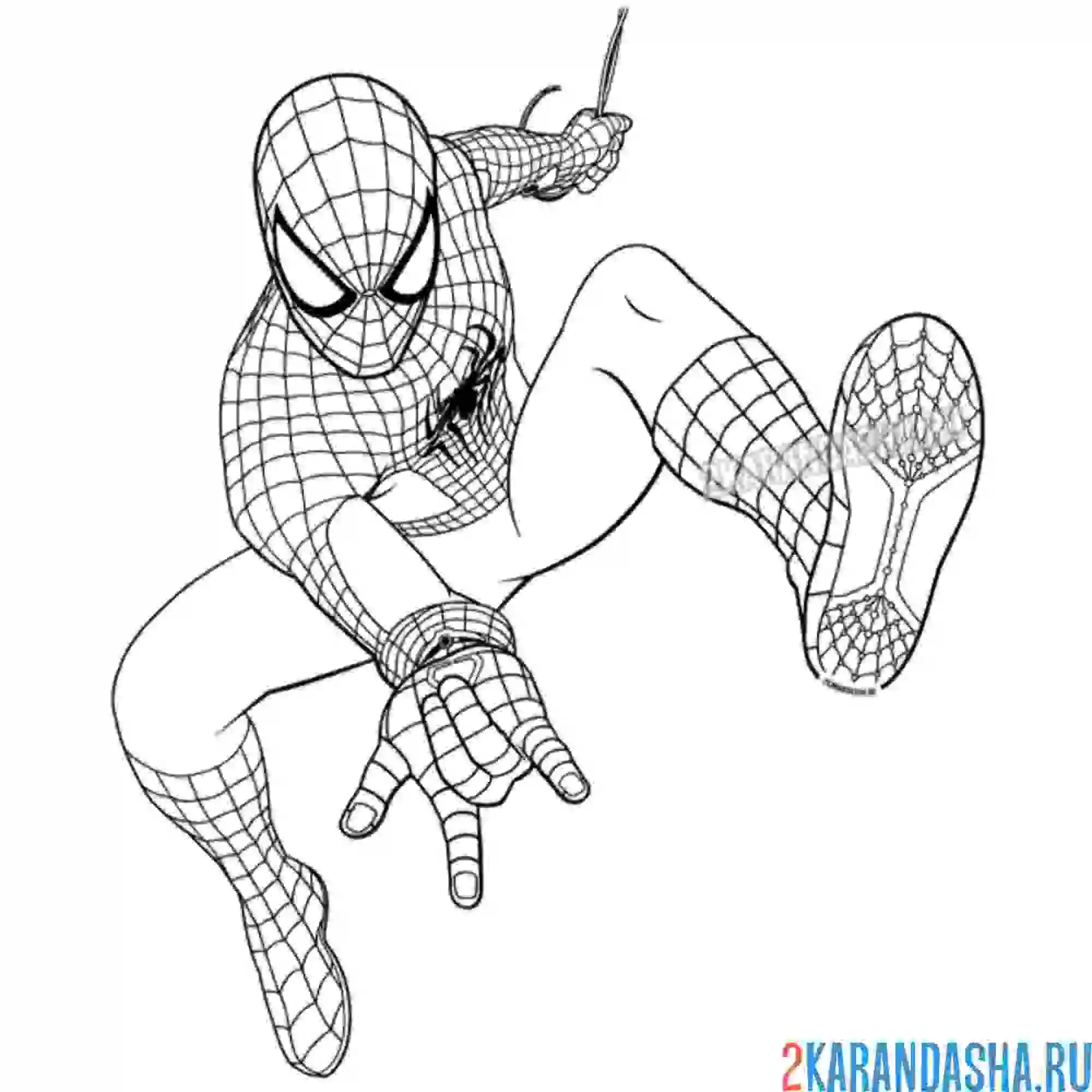 Раскраска на паутине