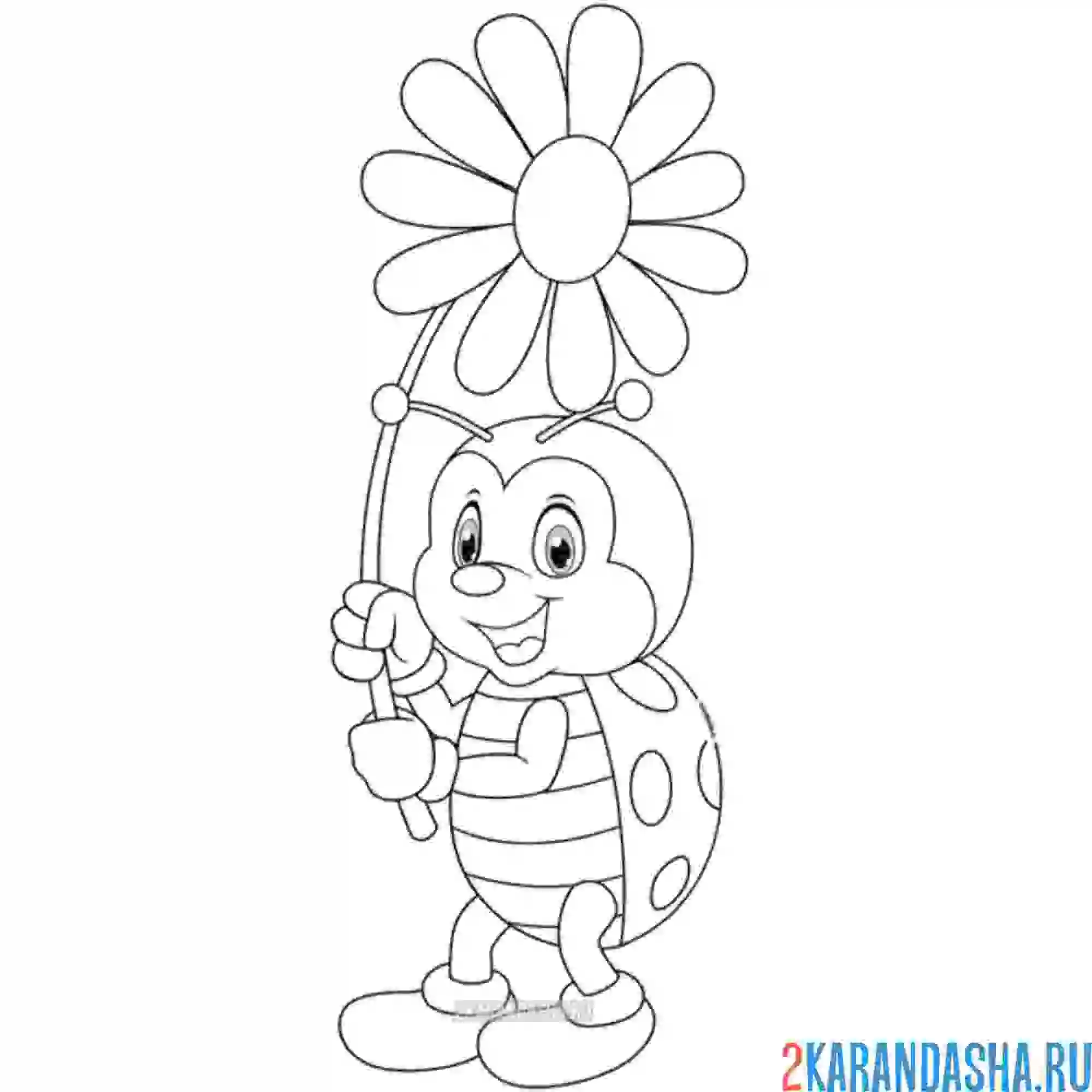 Раскраска божья коровка с цветочком ромашкой