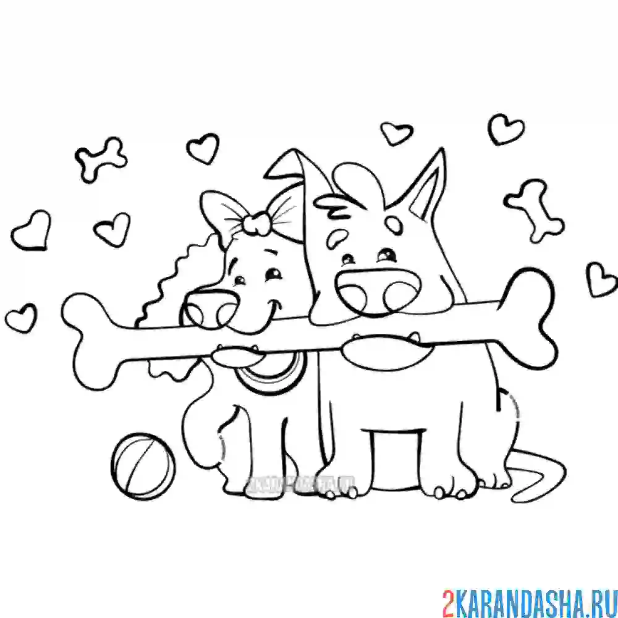 Раскраска мальчик и девочка собаки