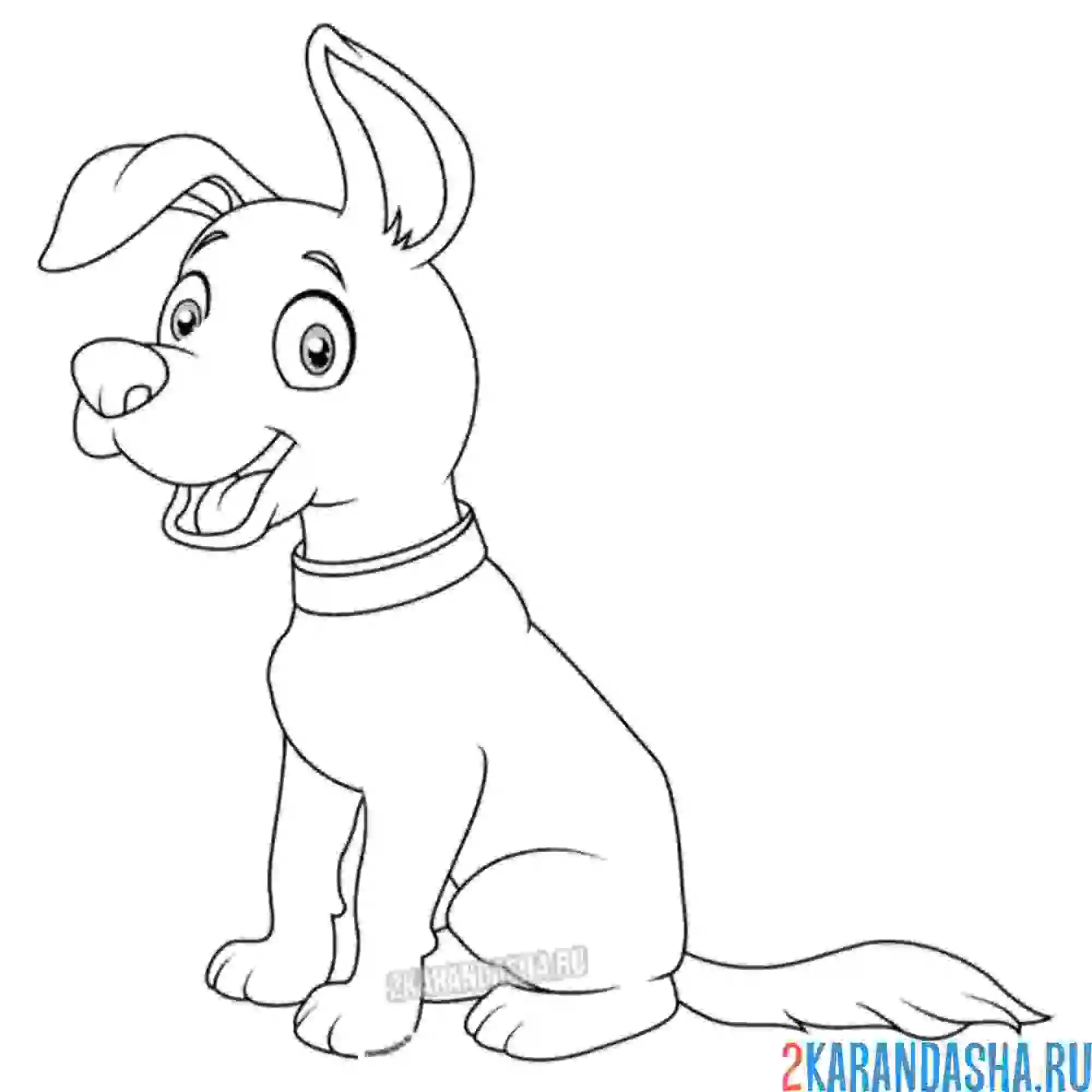 Раскраска прекрасный пёс