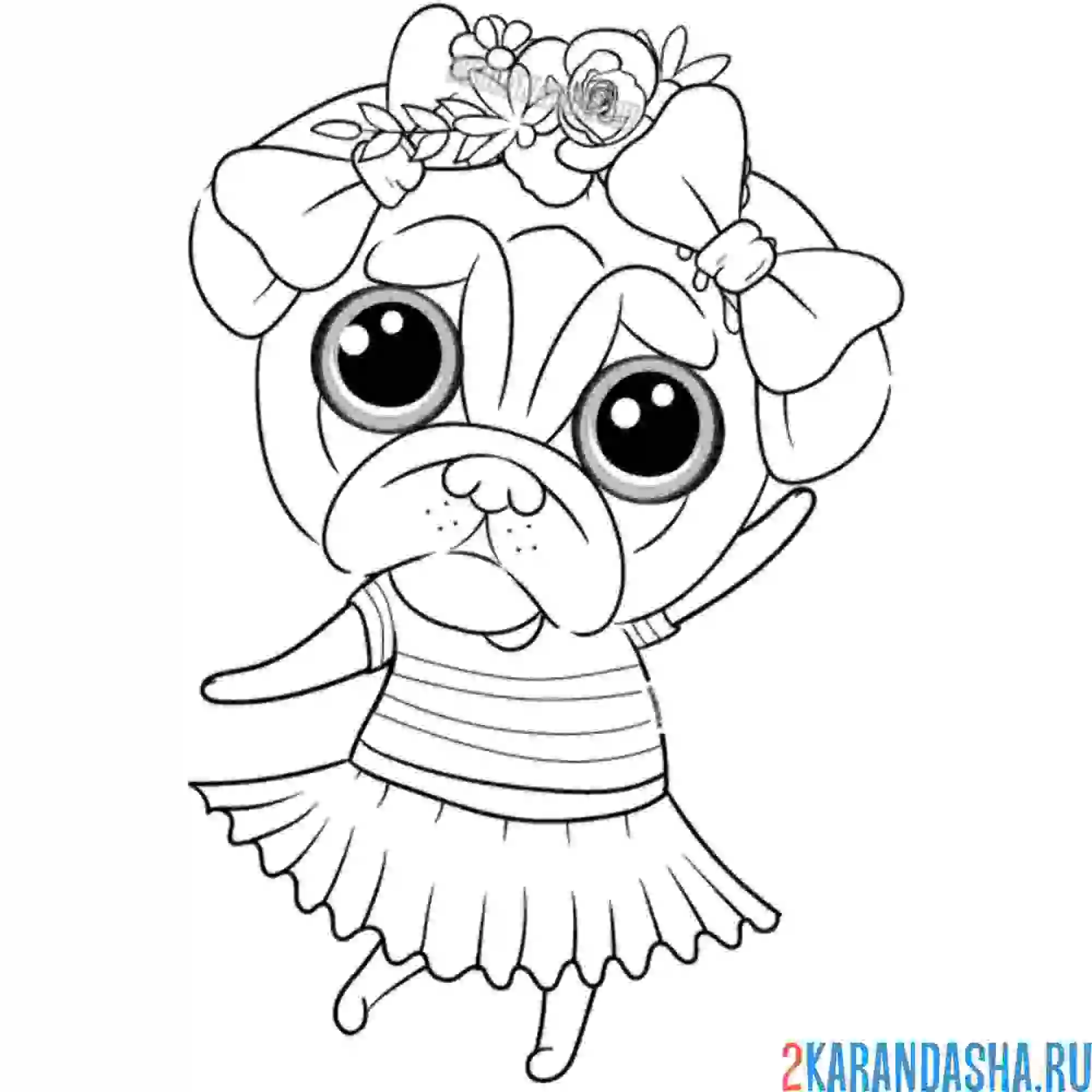 Раскраска девочка мопс собака-балерина