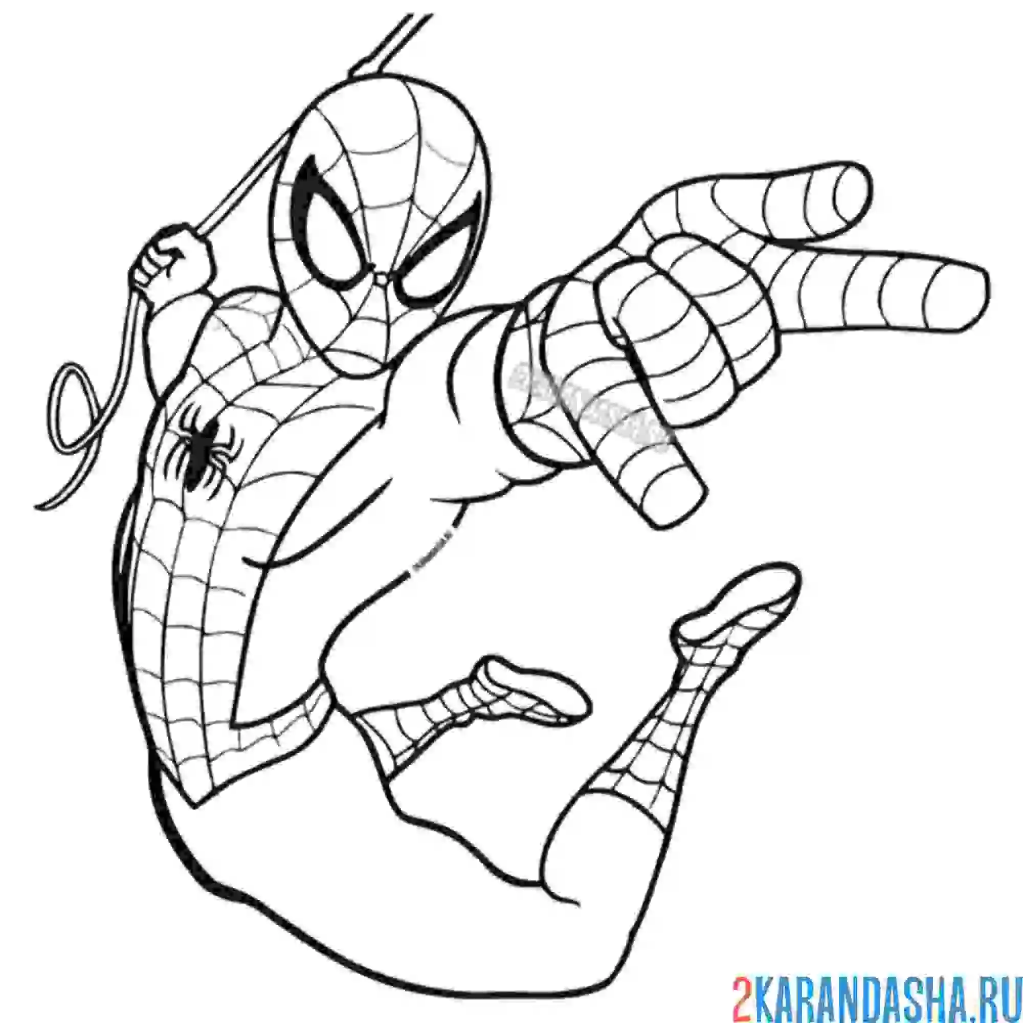 Раскраска герой в маске на паутине