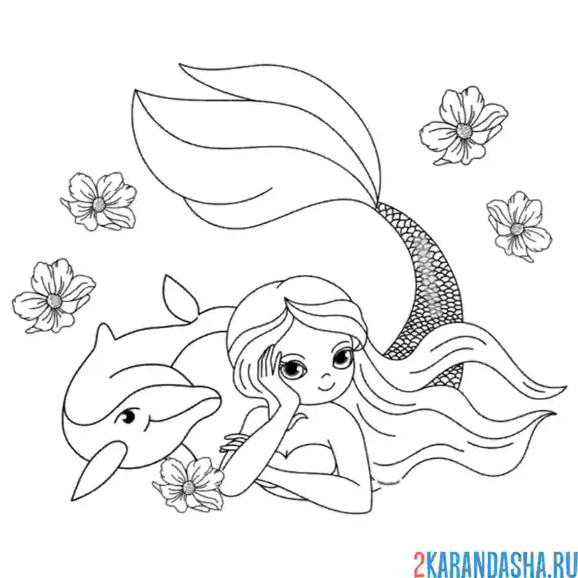 Раскраска русалка с длинными волосами и дельфином