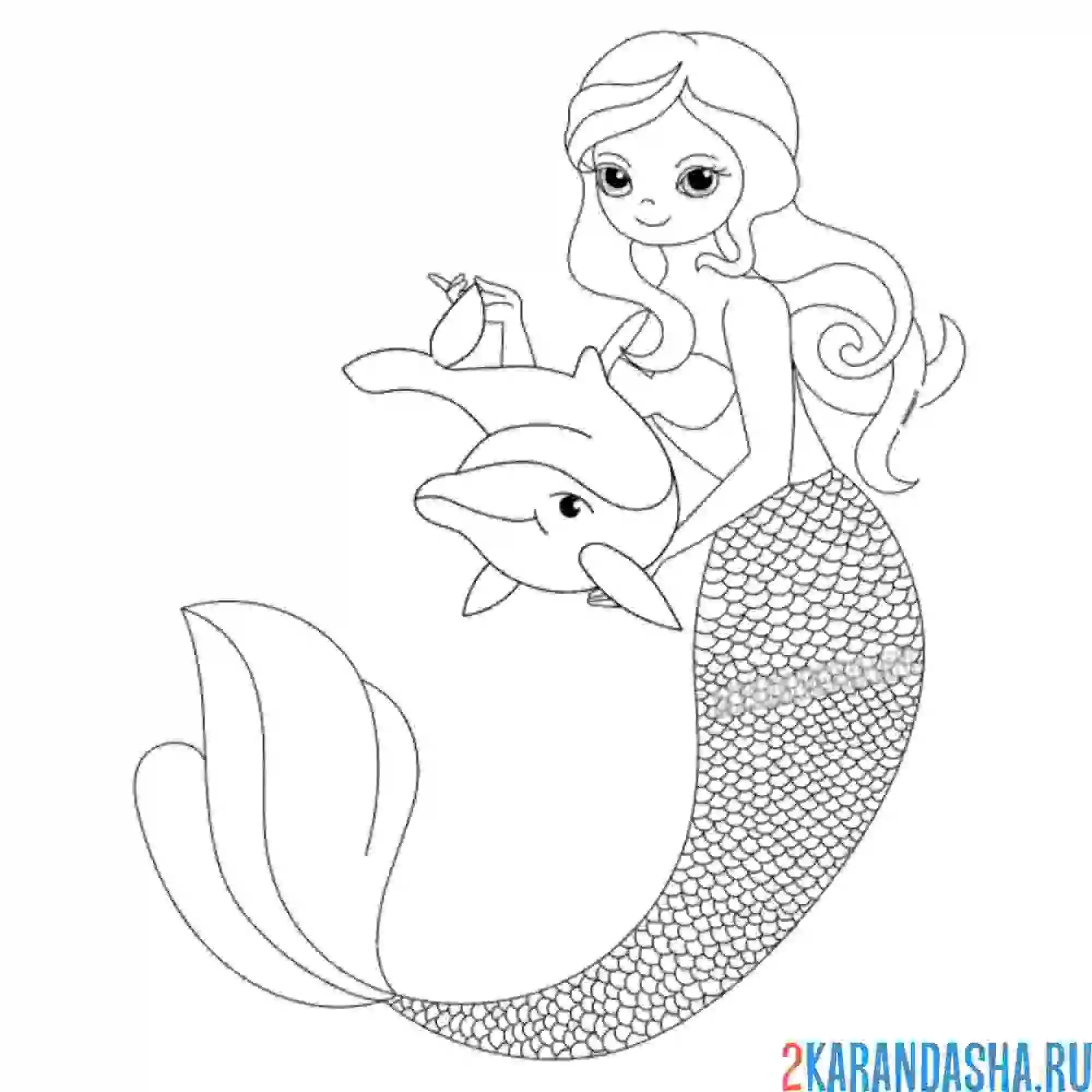 Раскраска русалочка с дельфином