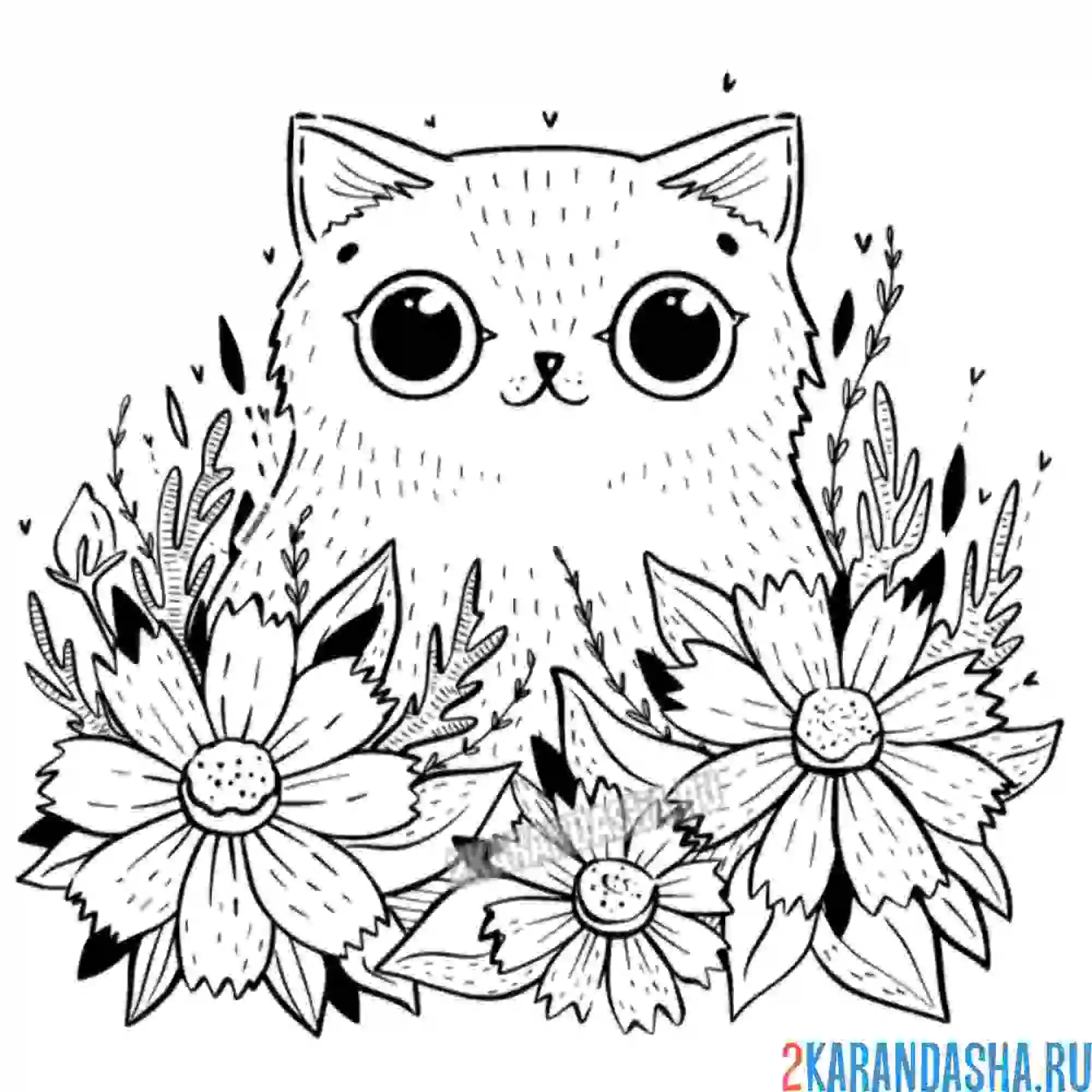 Раскраска кошечка в цветах