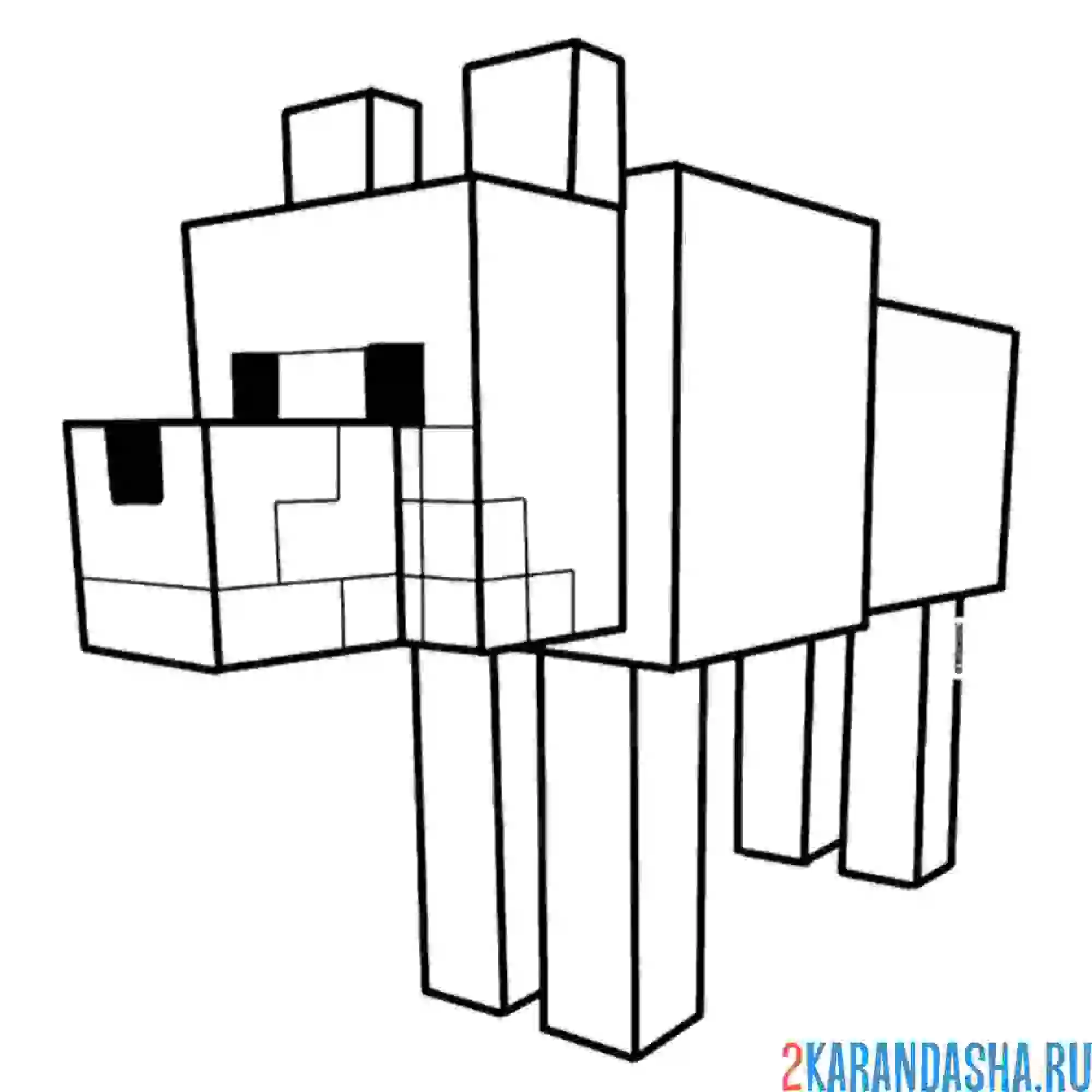 Раскраска волк, собака, животное