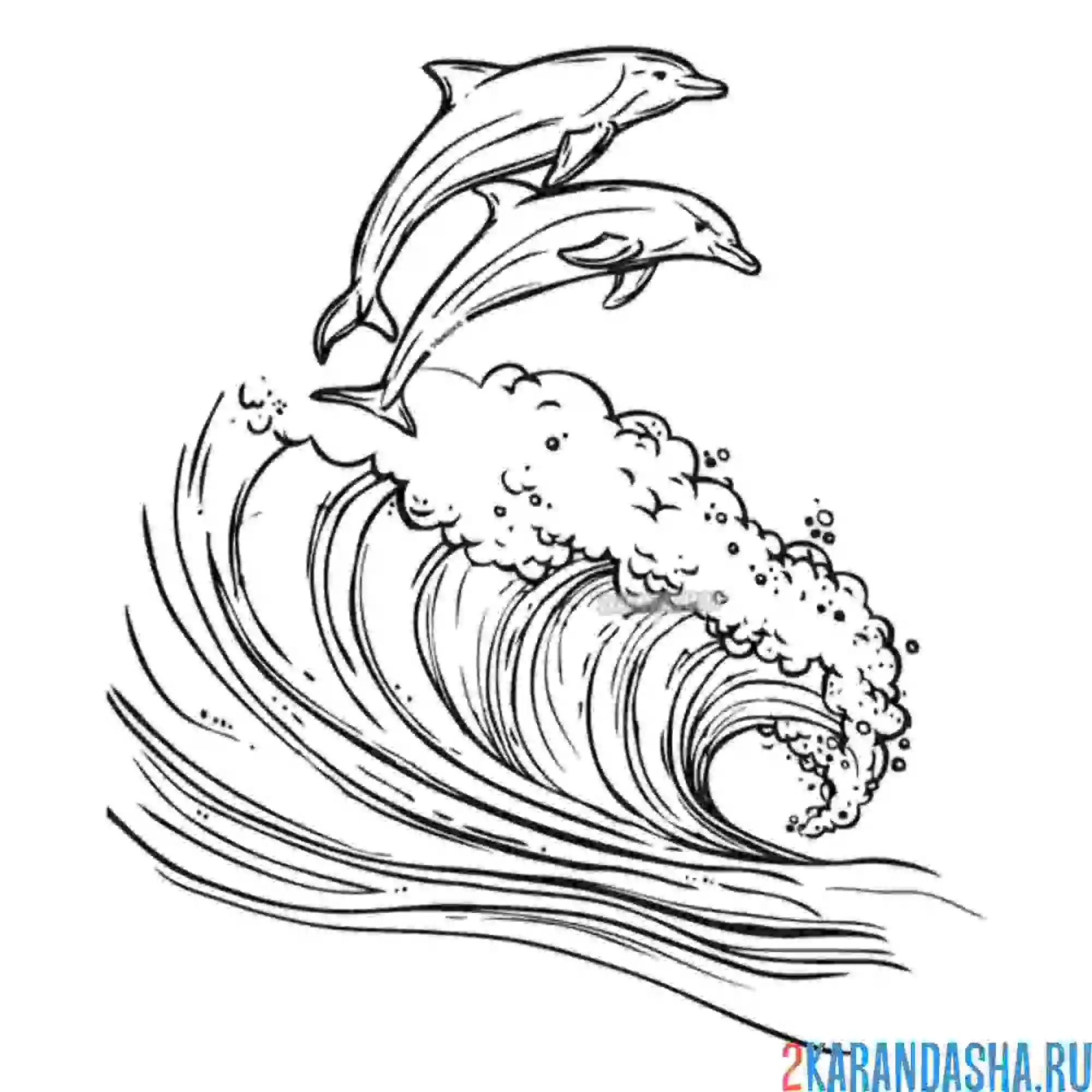 Раскраска дельфины в море, лето