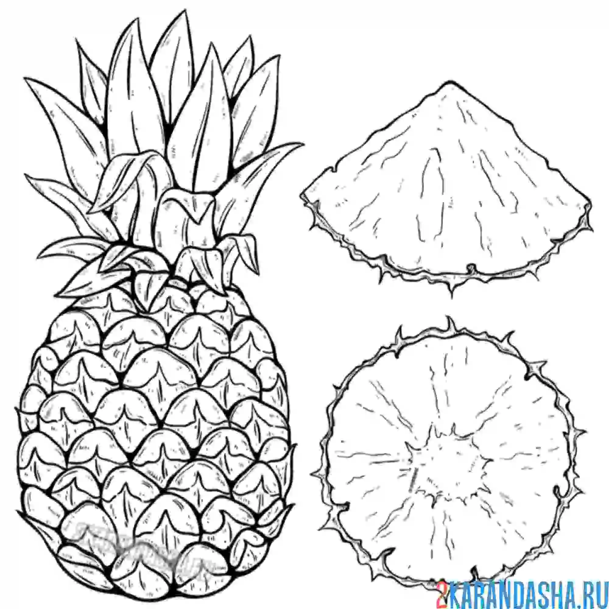 Раскраска сочный ананас