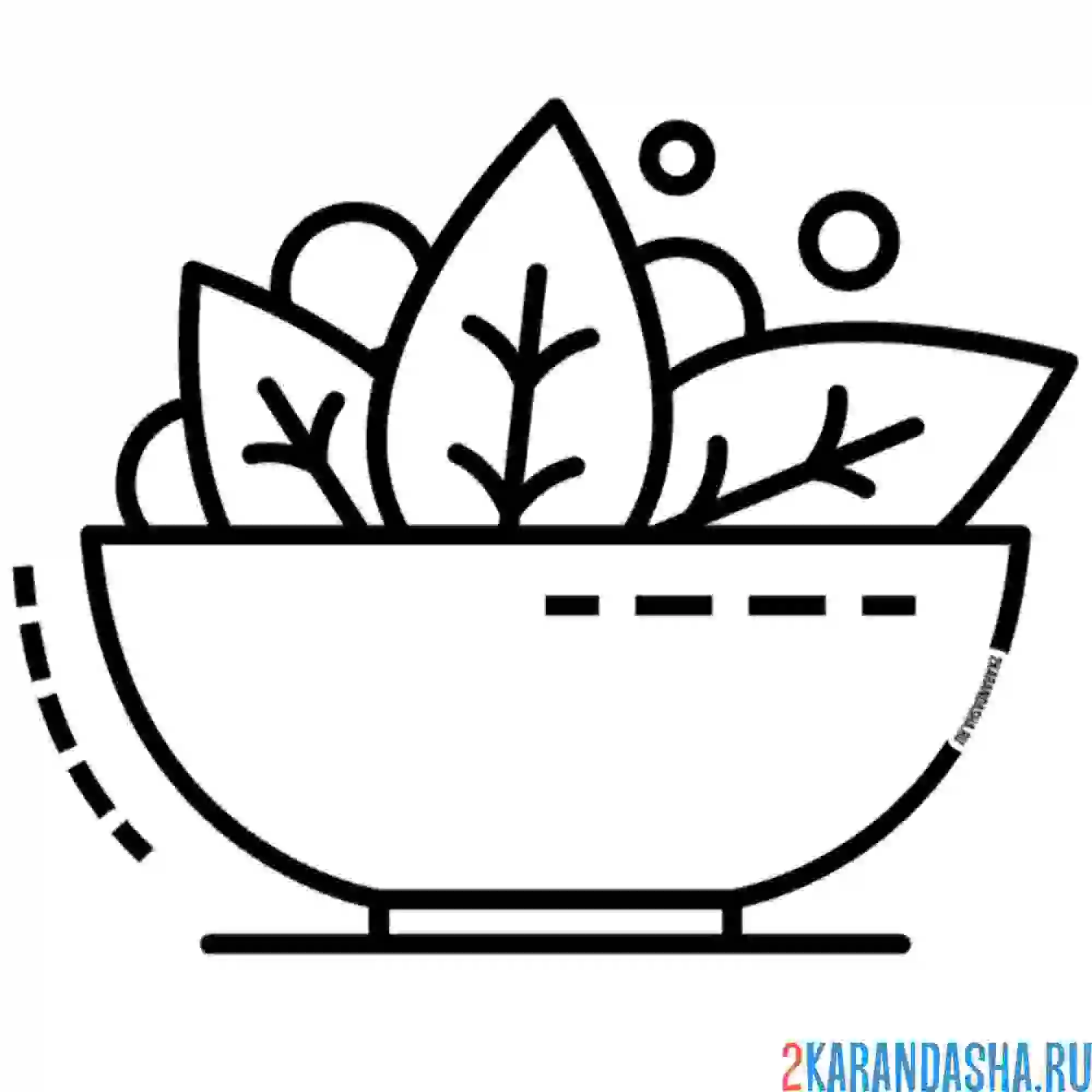 Раскраска салат с зеленью и овощами