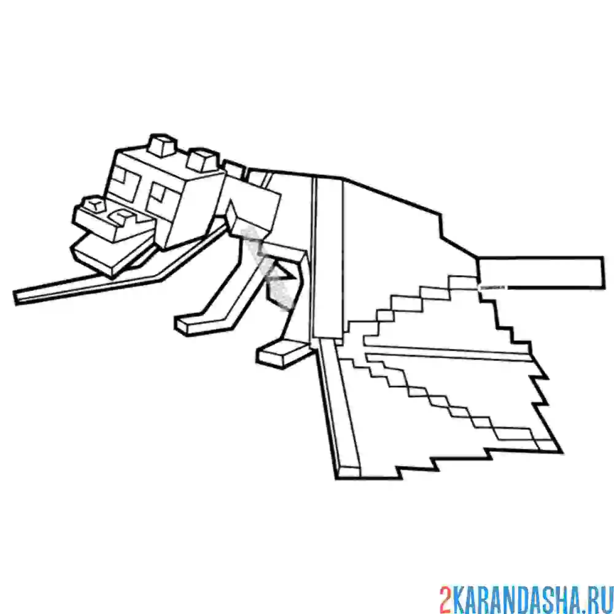 Раскраска дракон края (ender dragon)