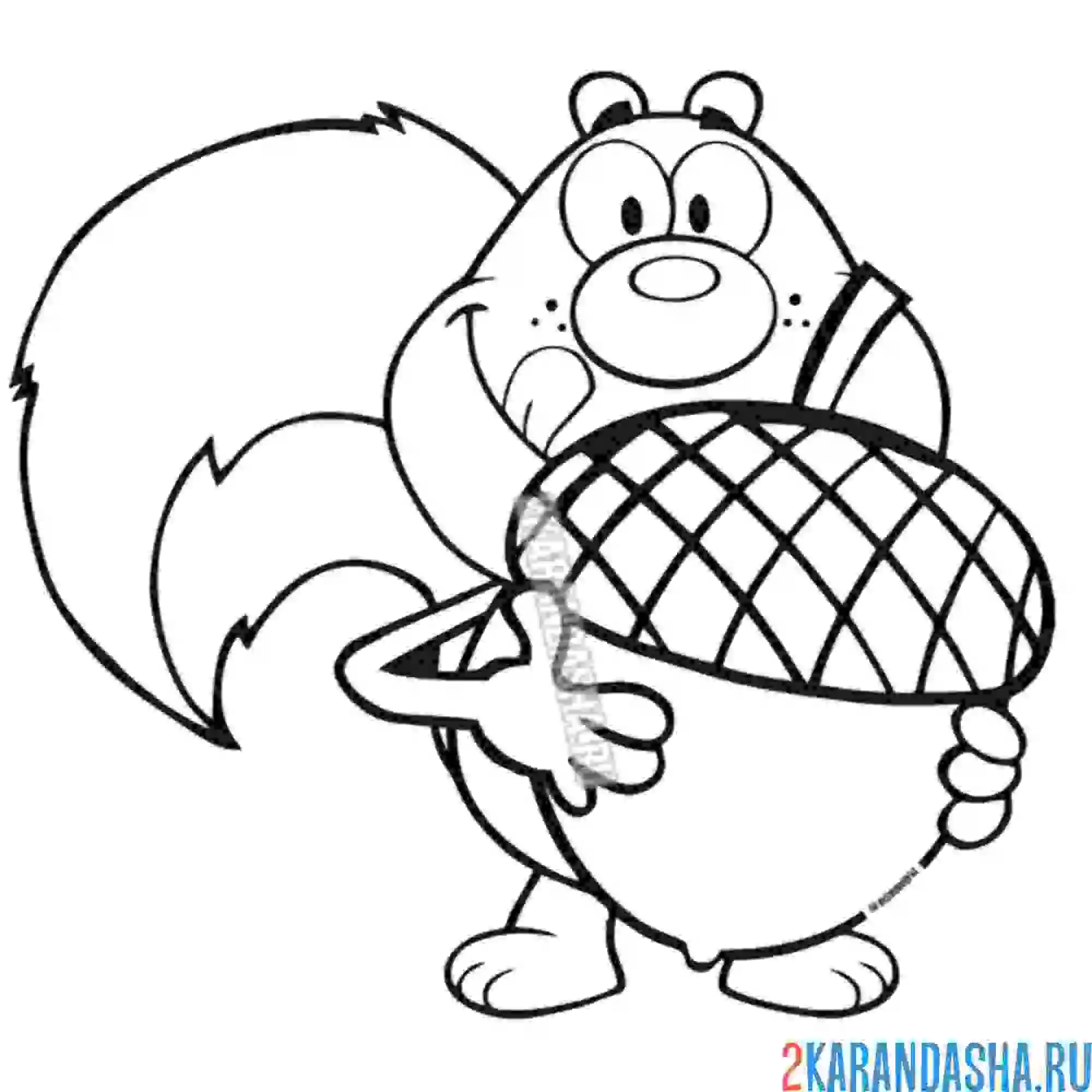Раскраска смешная белка