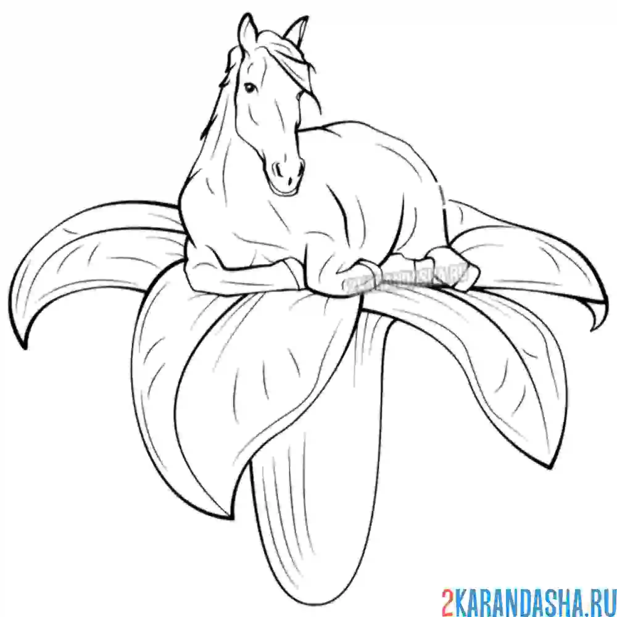 Раскраска милая лошадка на цветке