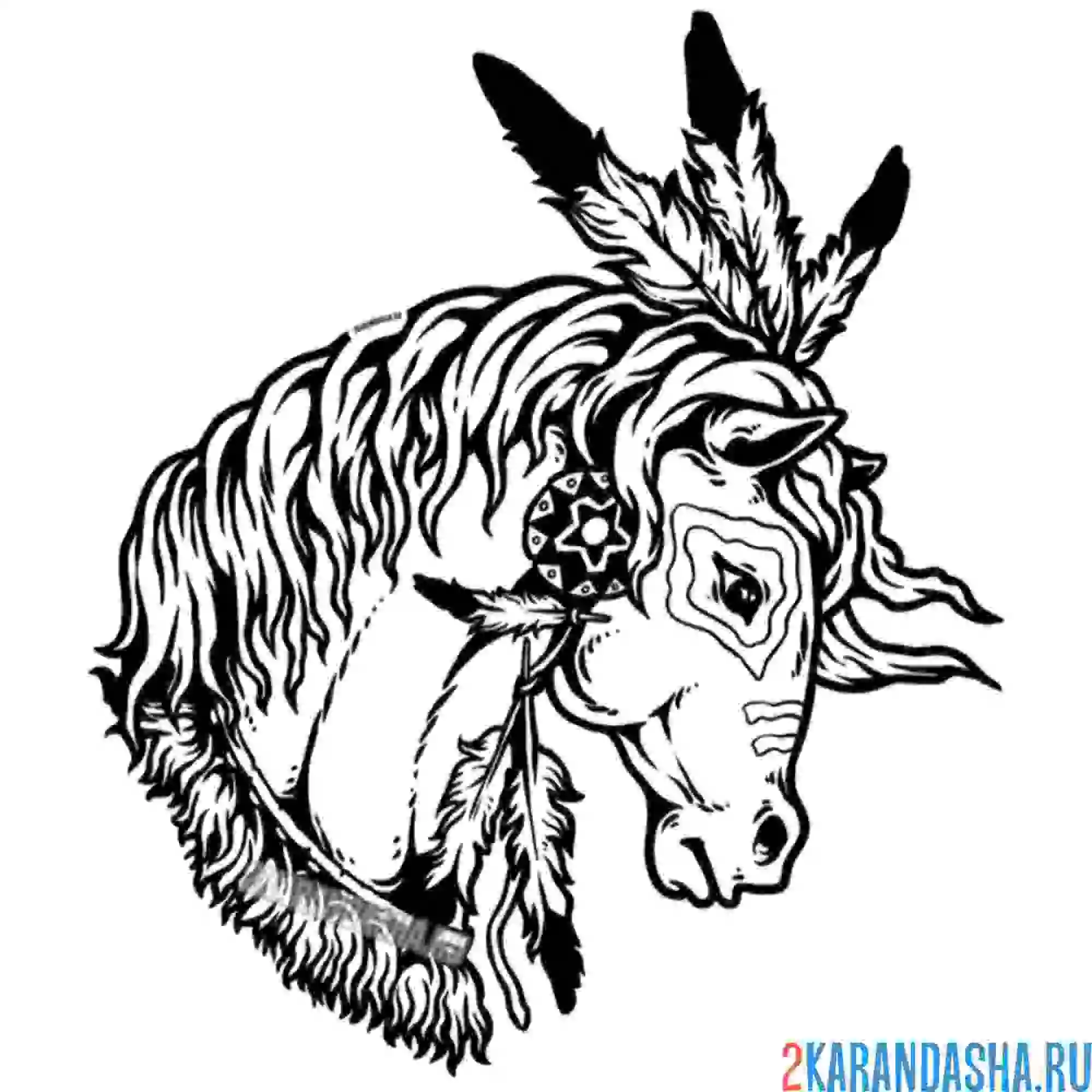 Раскраска красивая голова лошади