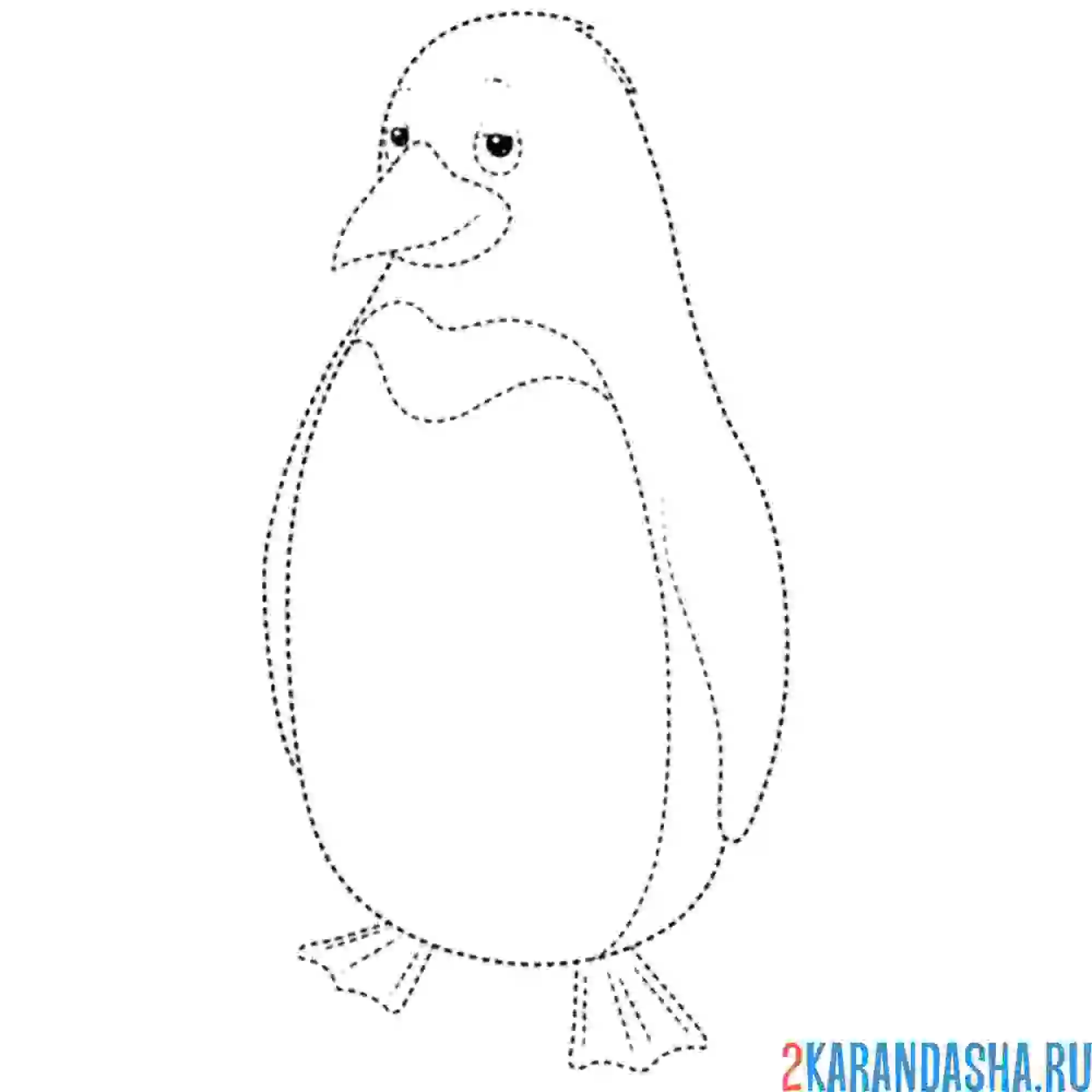 Раскраска пингвин по точкам