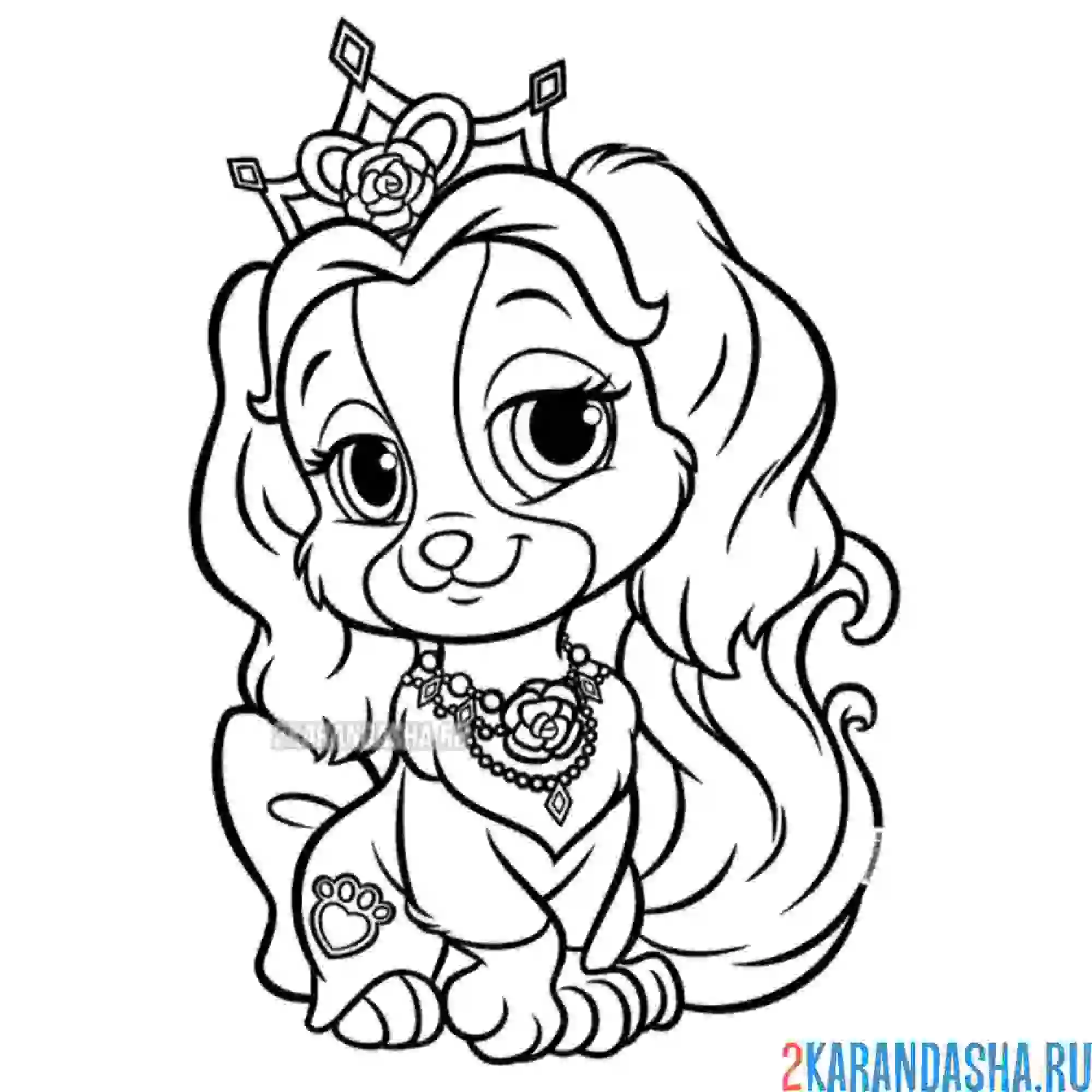 Раскраска принцесса собачка