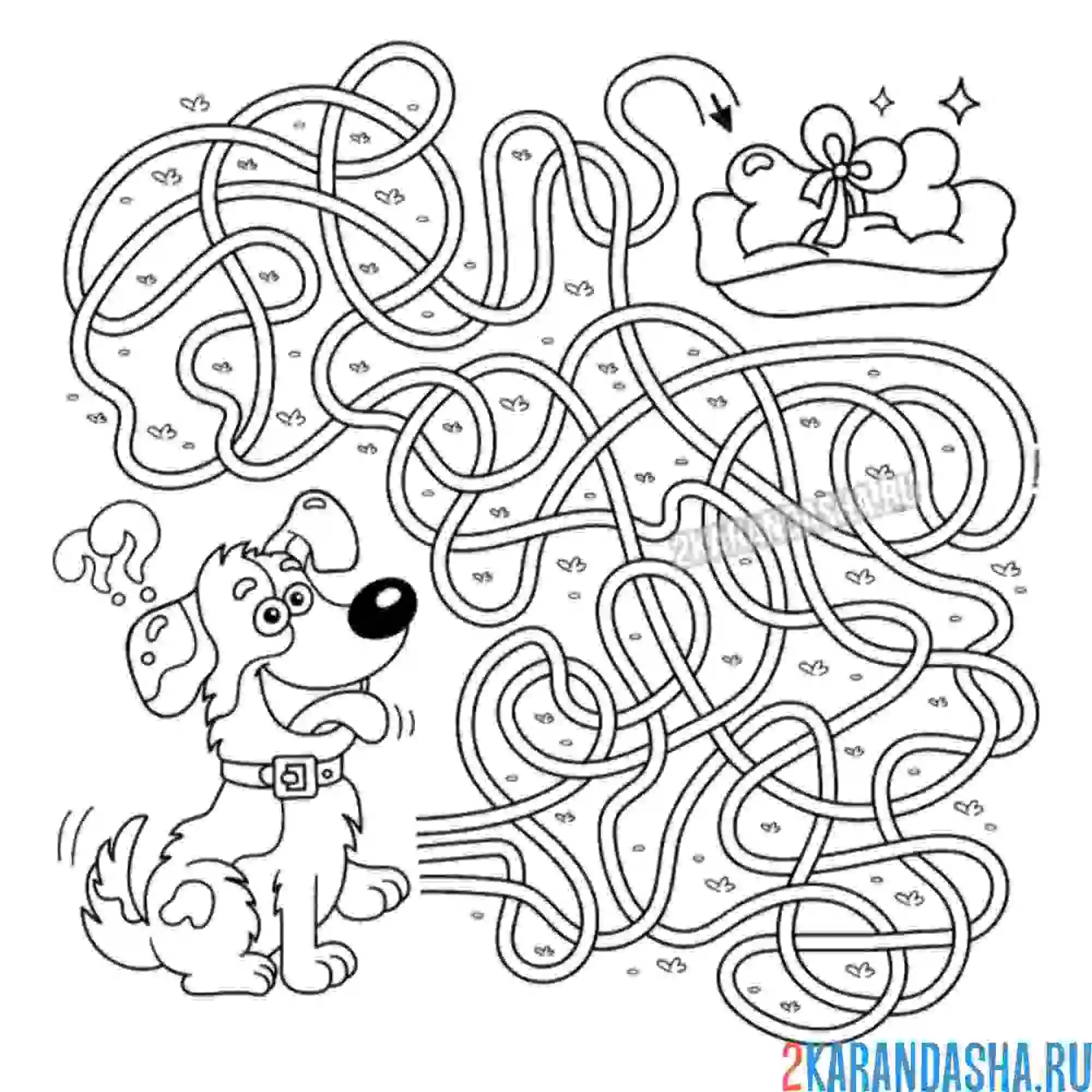 Раскраска лабиринт собака и косточка