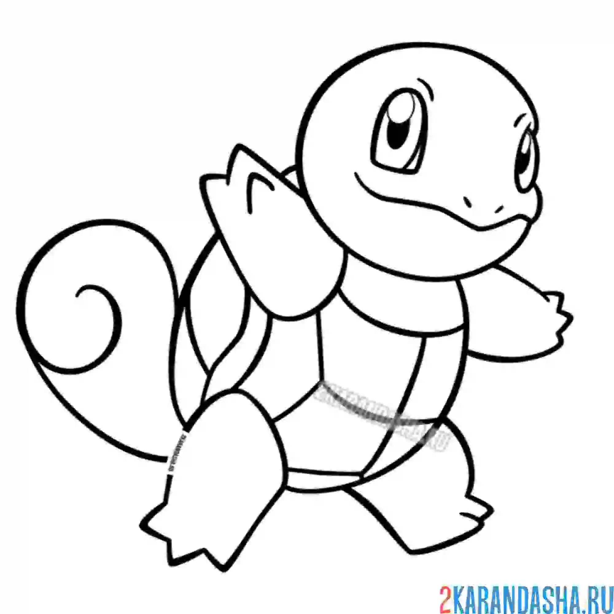 Раскраска сквиртл