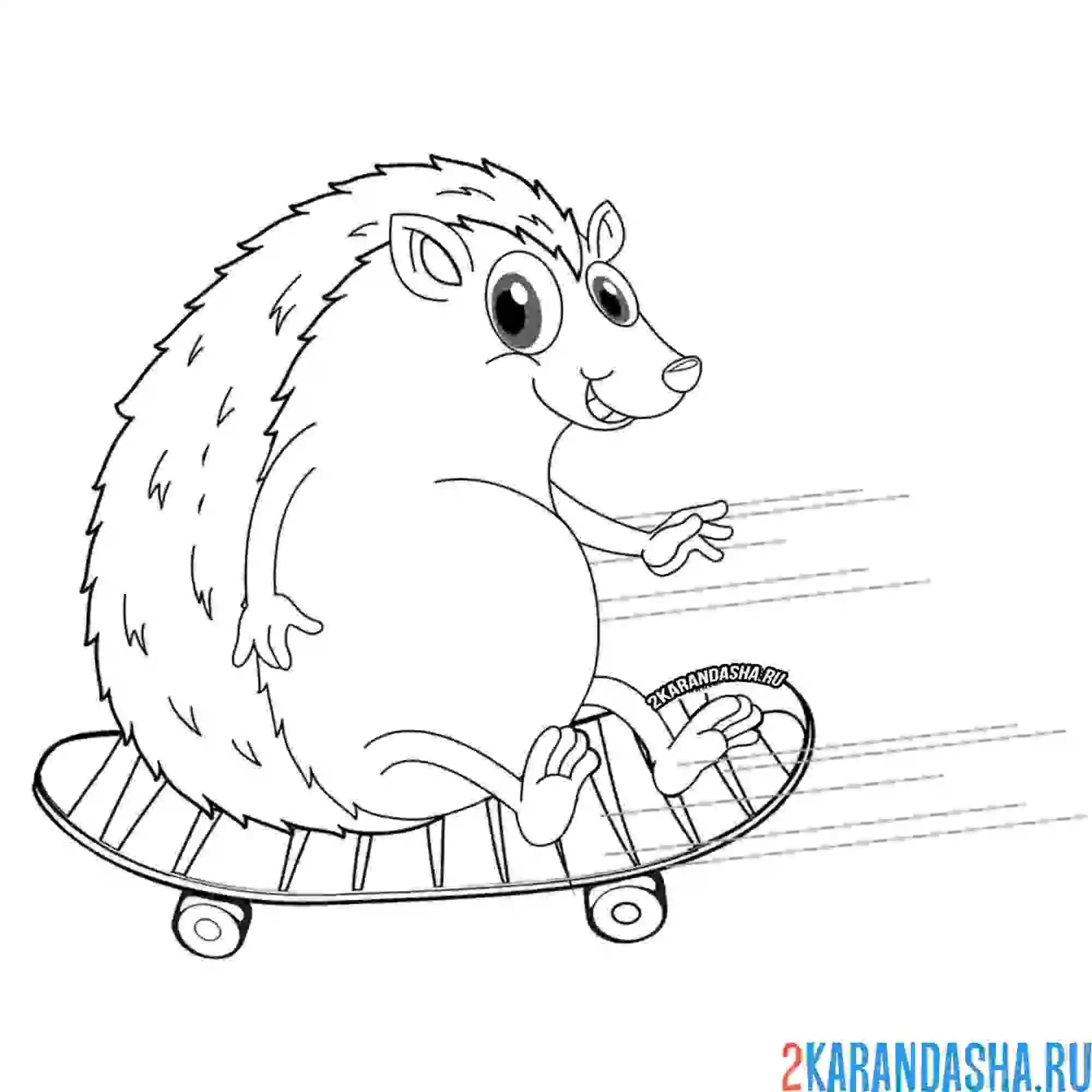 Раскраска ежик на скейтборде