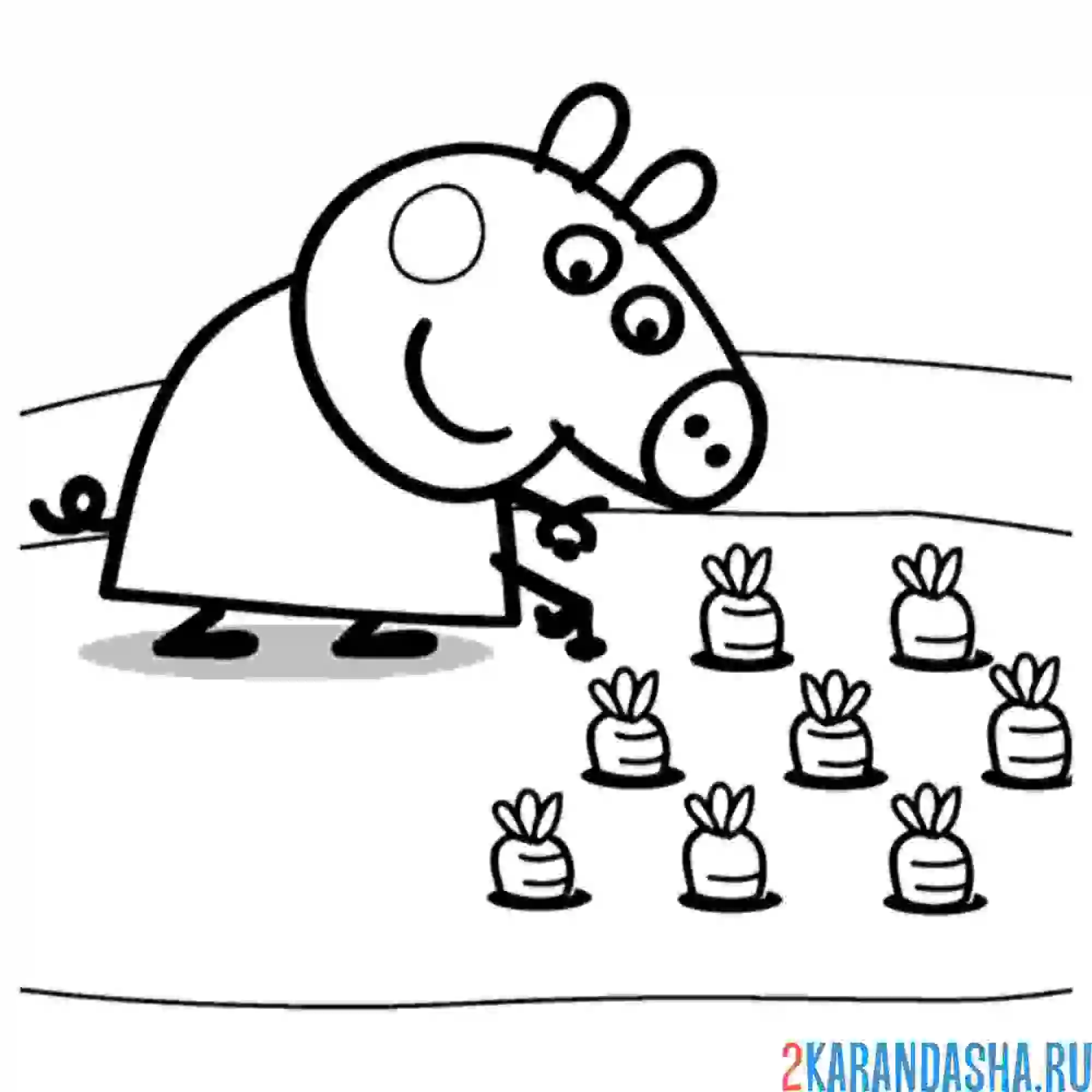 Раскраска в огороде