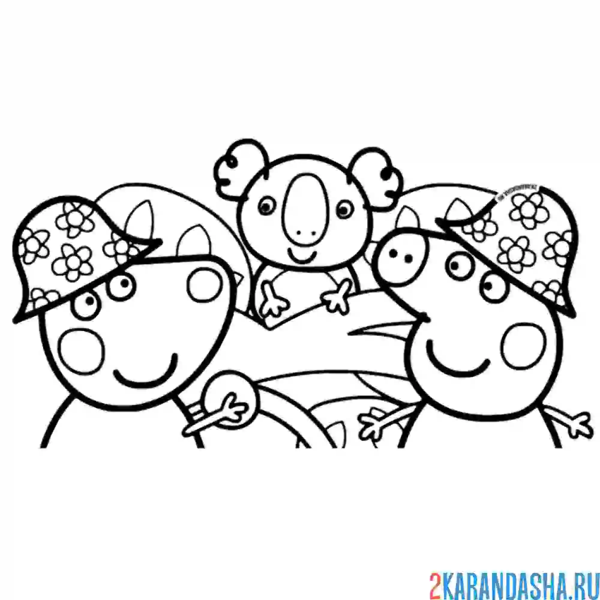 Раскраска с кенгуру кайли в австралии