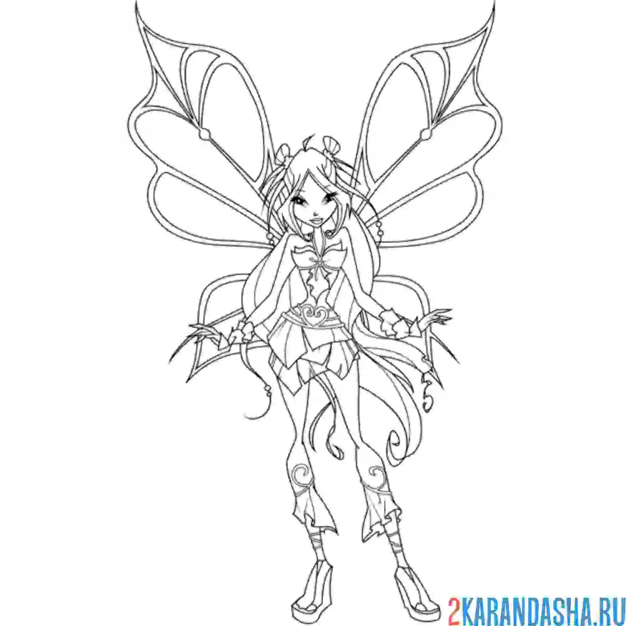 Раскраска флора