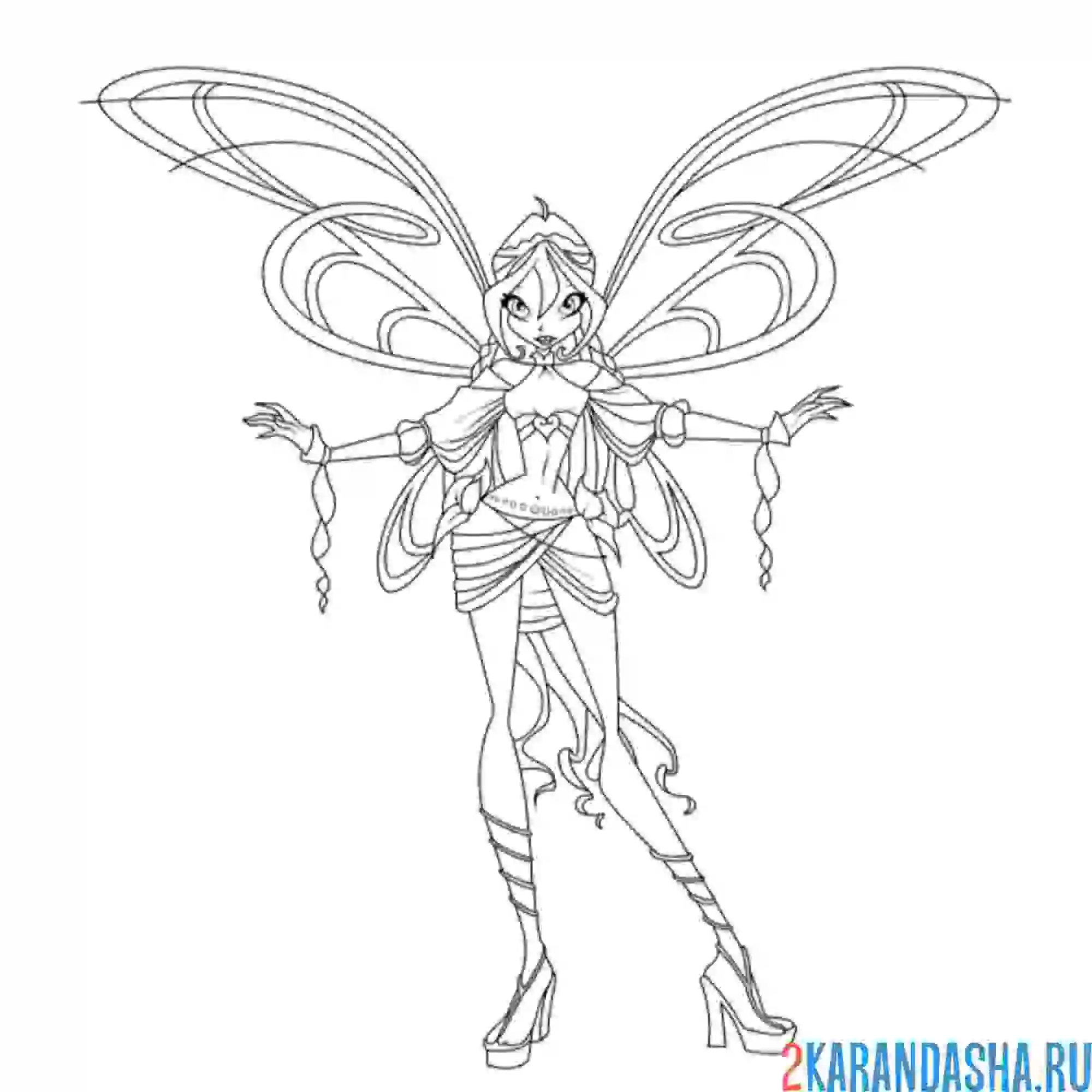 Раскраска блум